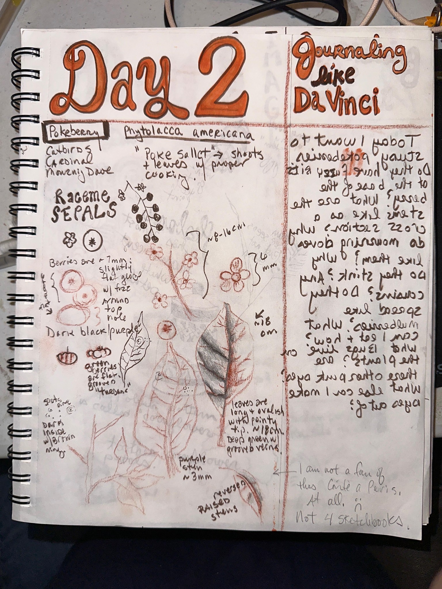 Seven Days of Da Vinci - image 2 - student project