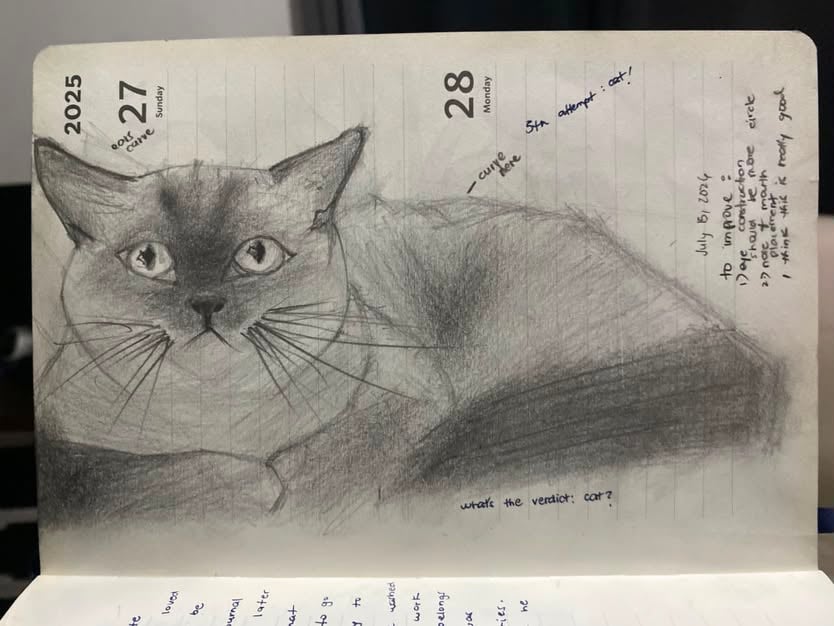 What's the verdict: cat? - image 1 - student project