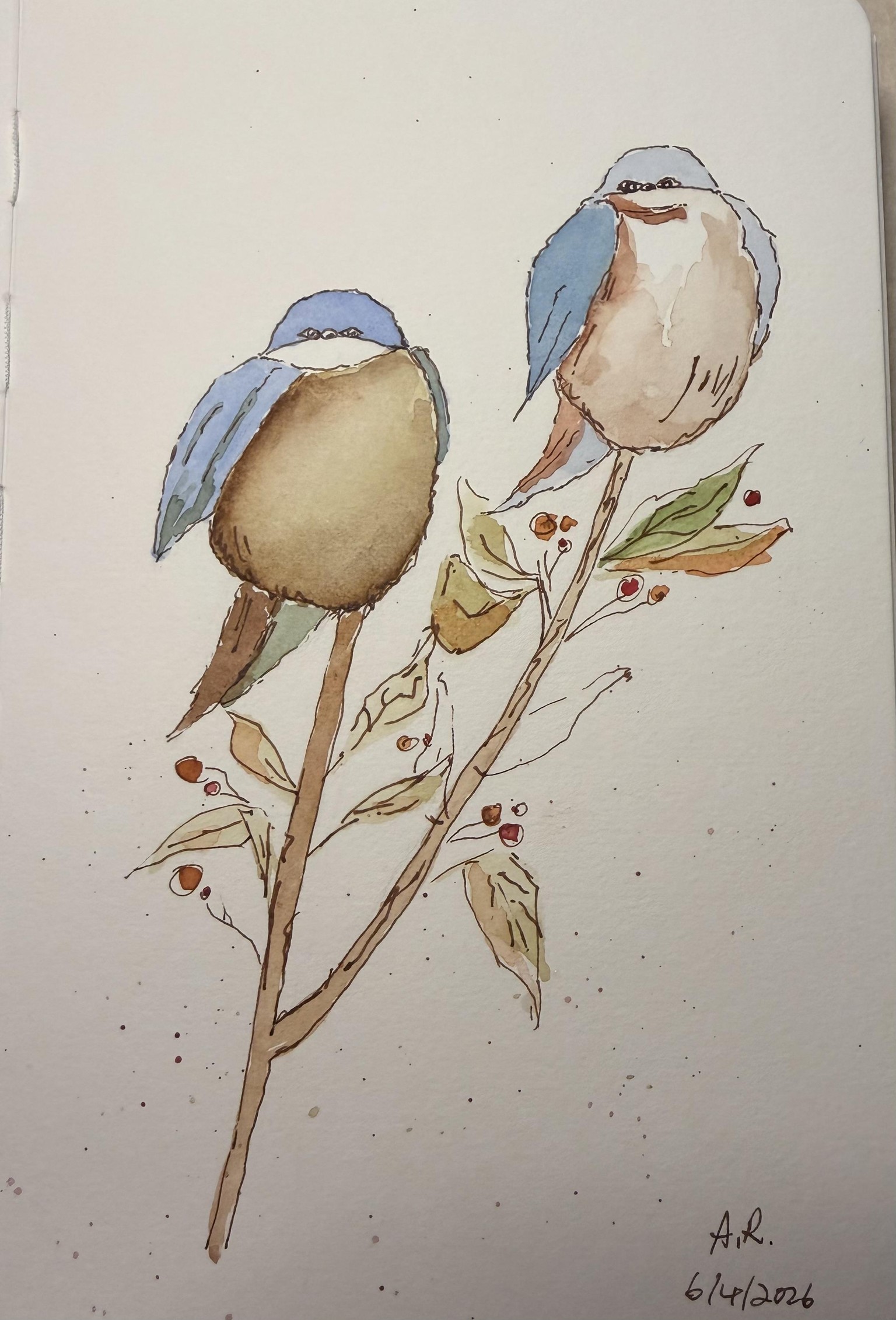 cute blue birds - image 1 - student project