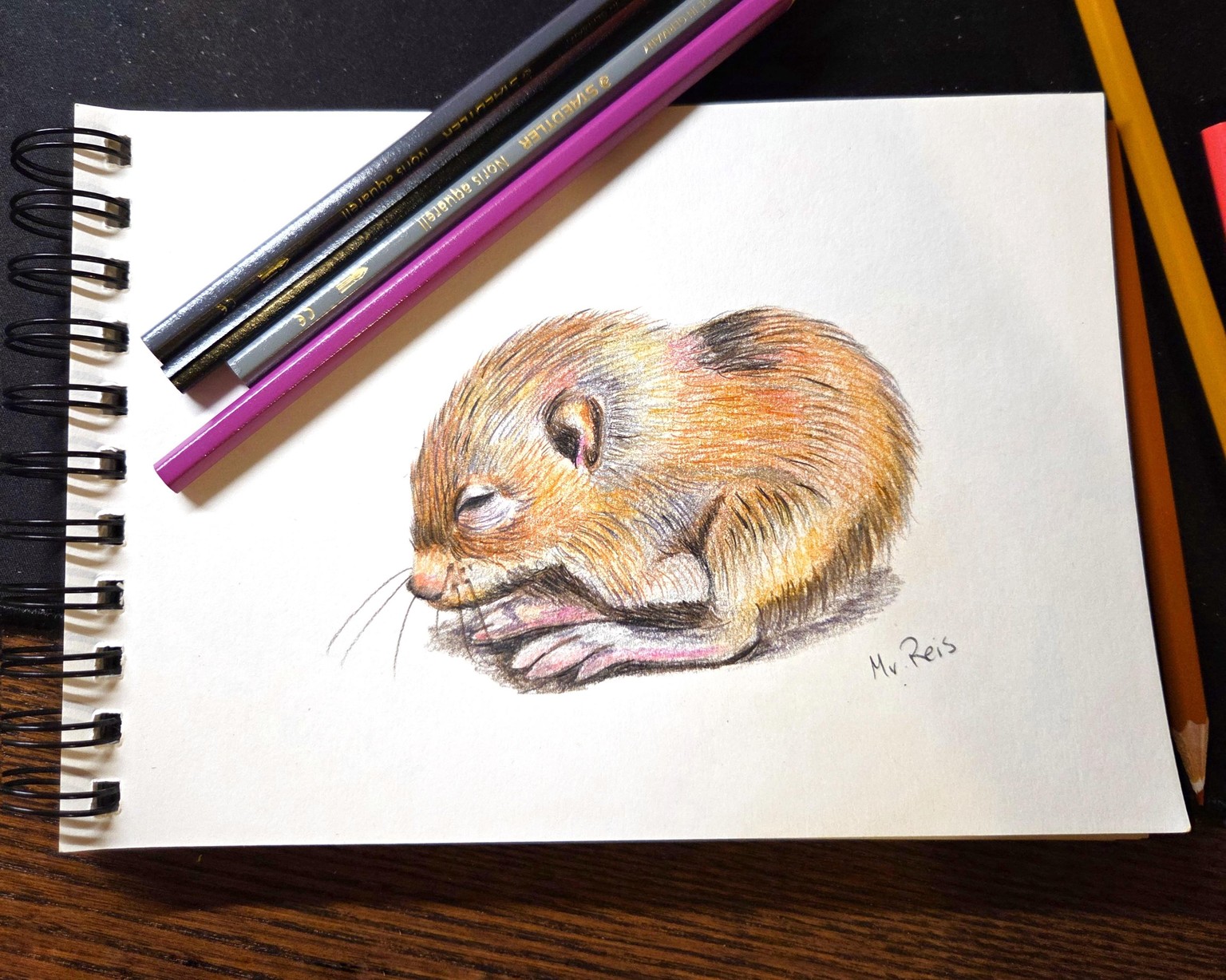 Adorable class! - image 1 - student project