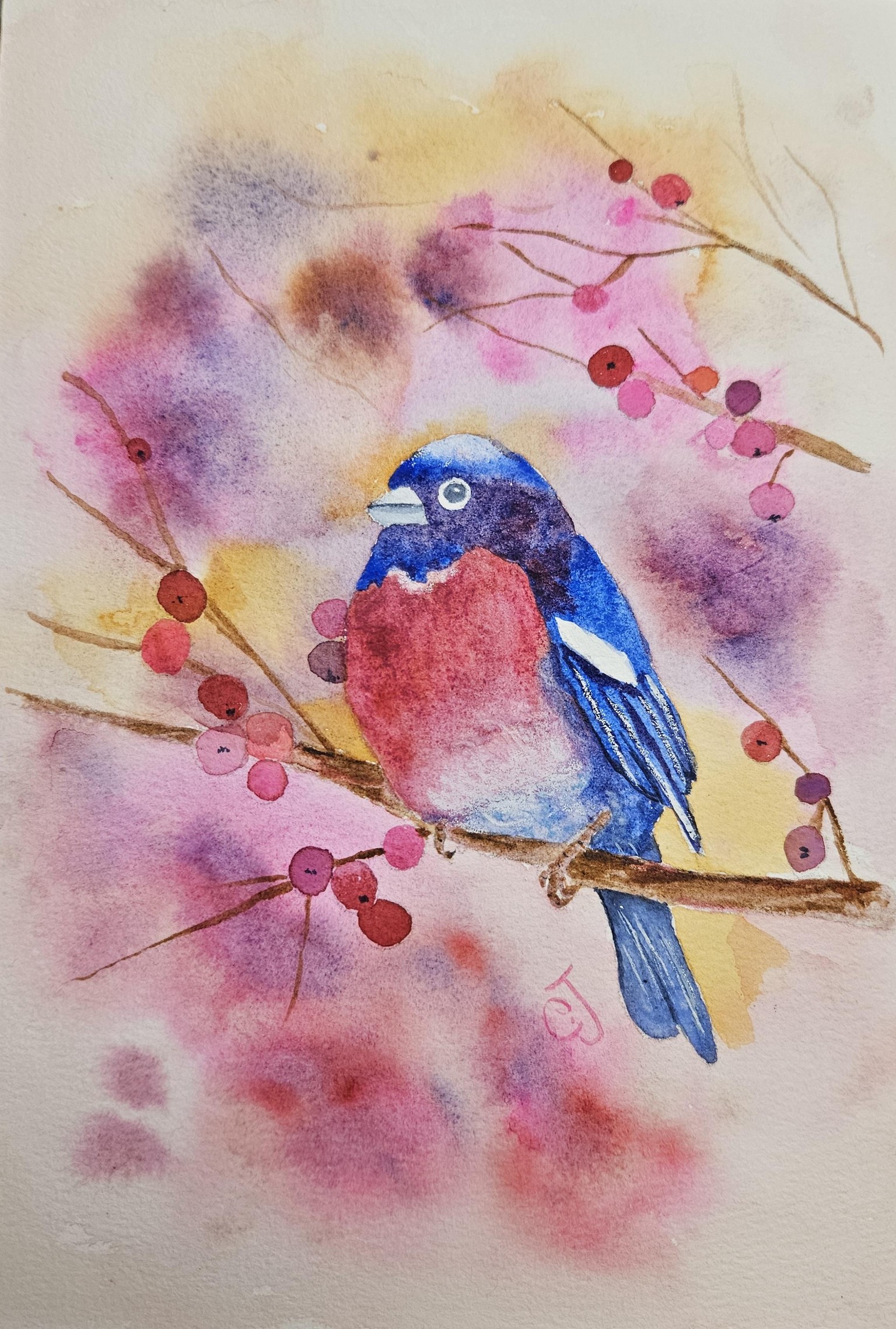 Colorful bullfinch - image 1 - student project