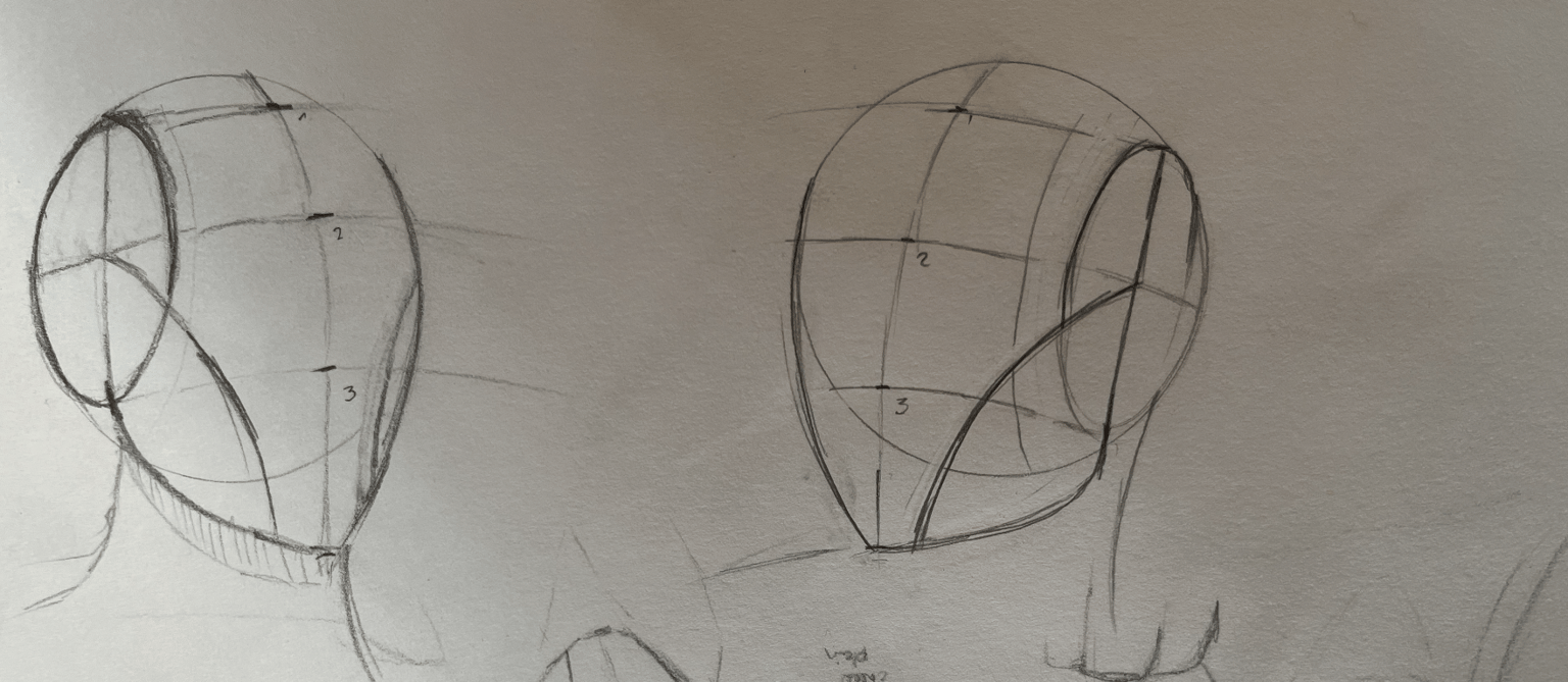 7 Loomis heads - image 5 - student project