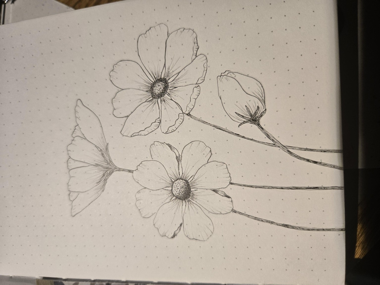 Flowers - image 1 - student project