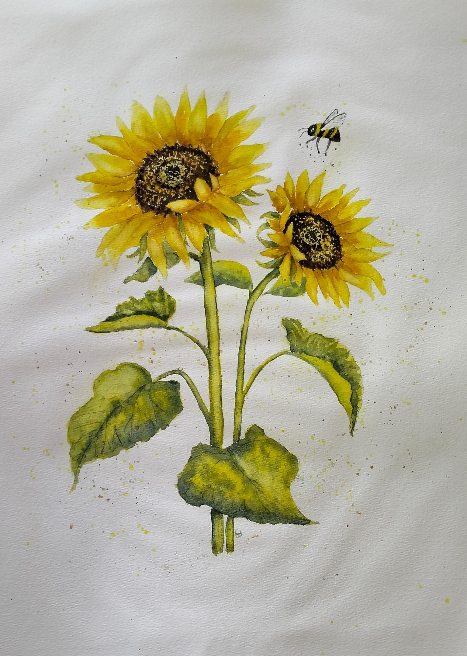 Sunflowers - image 1 - student project