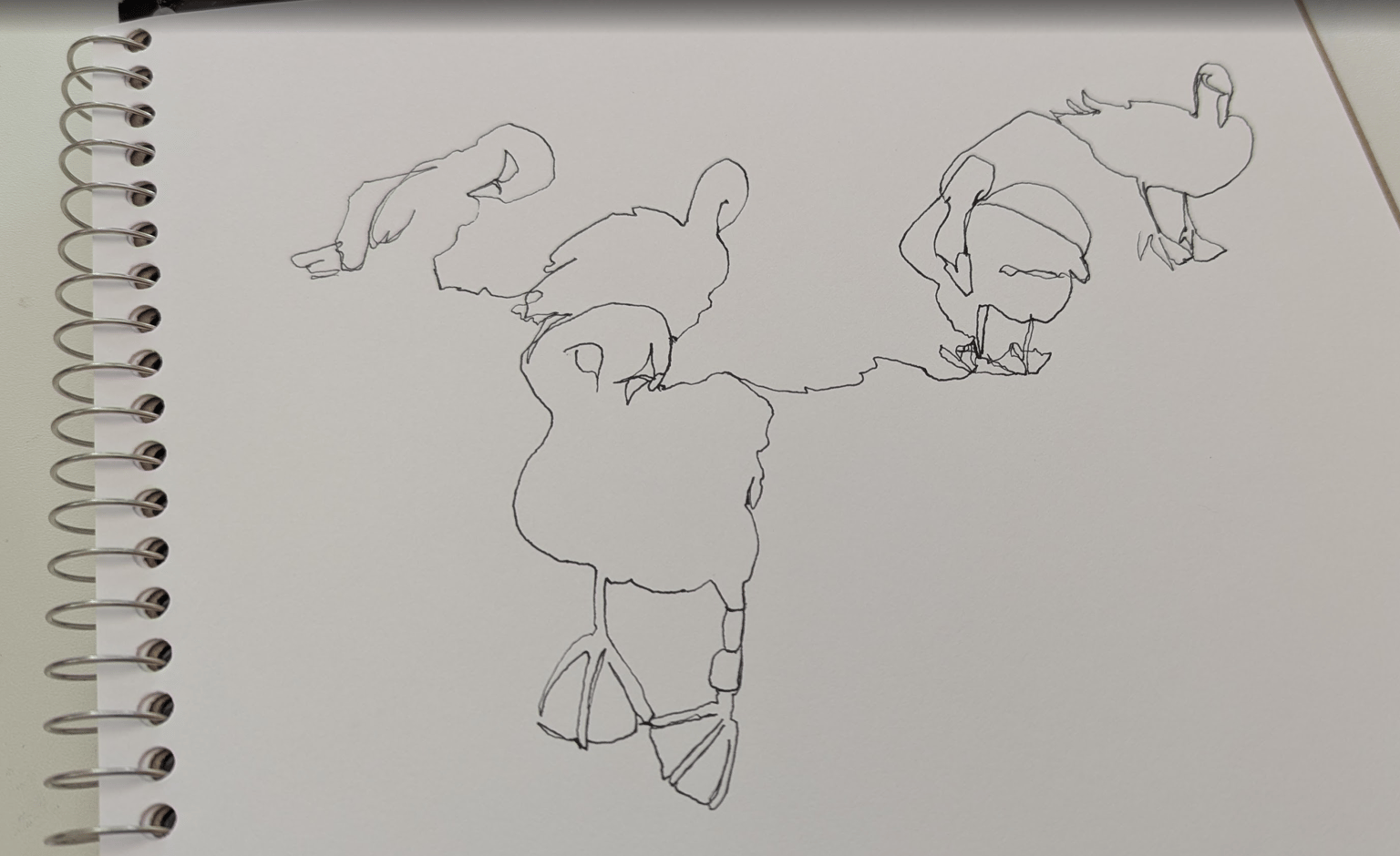 Continuous Line Drawings - image 2 - student project