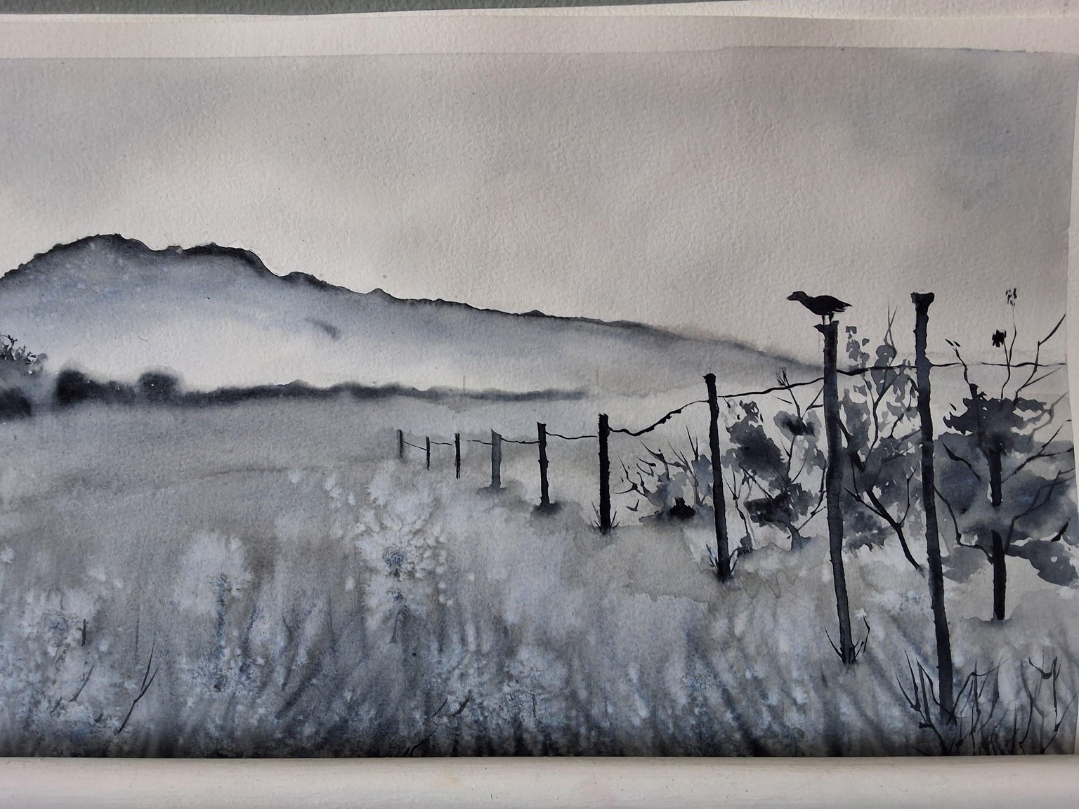 Mastering monochrome - image 1 - student project