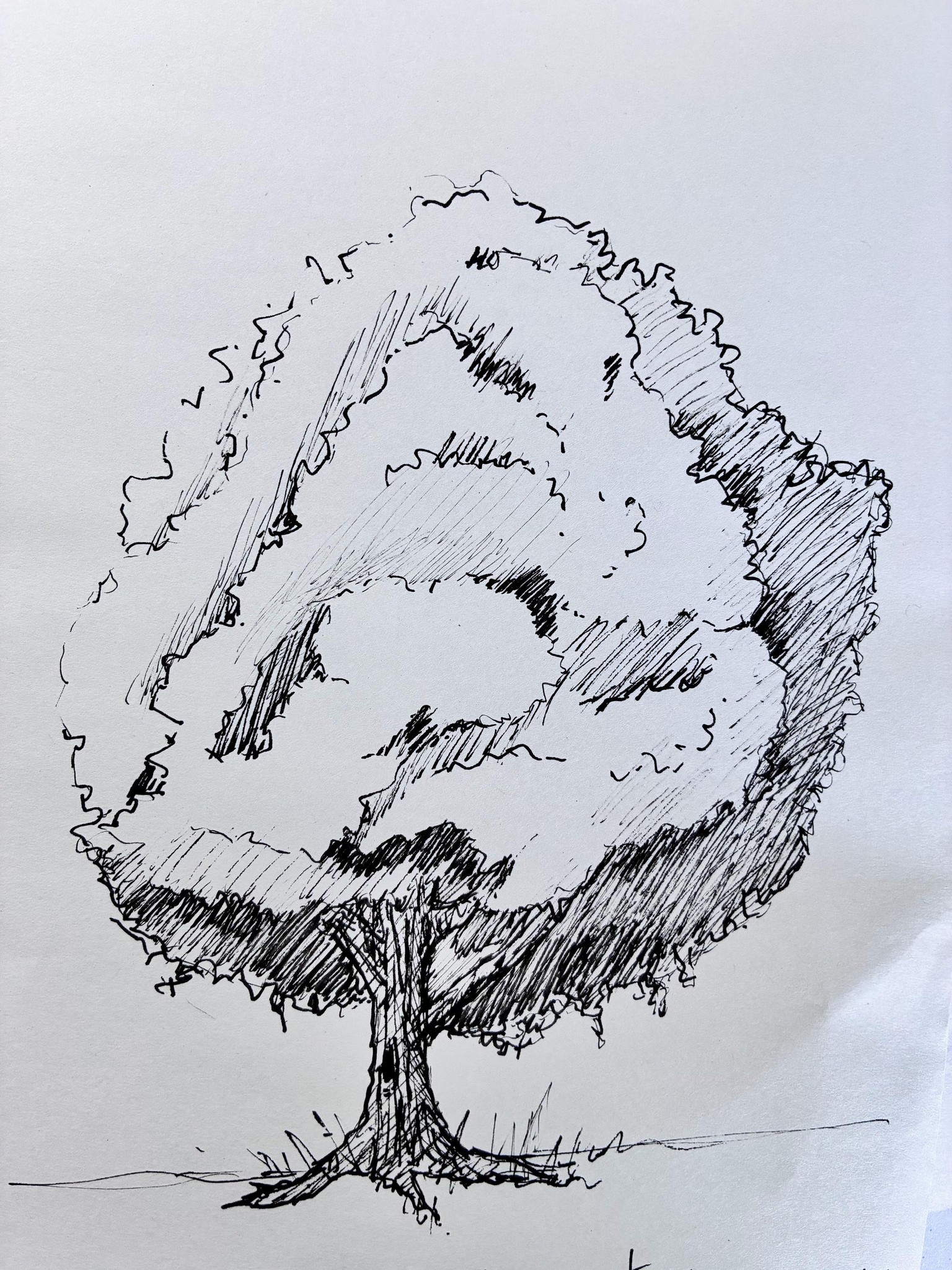 Realistic Trees - image 3 - student project