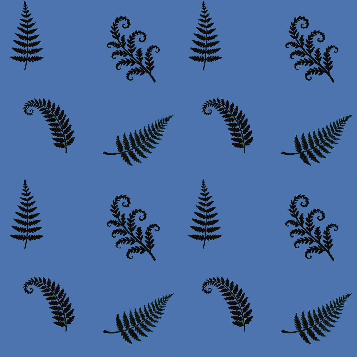 Ferns - image 1 - student project