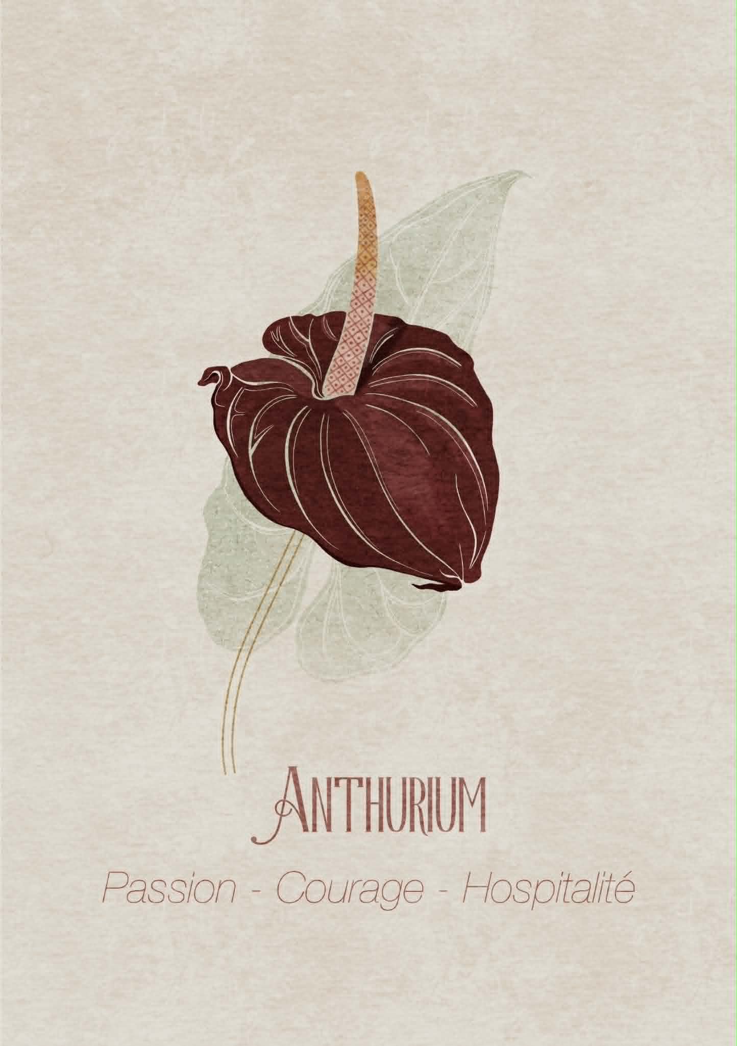 Anthurium - image 1 - student project