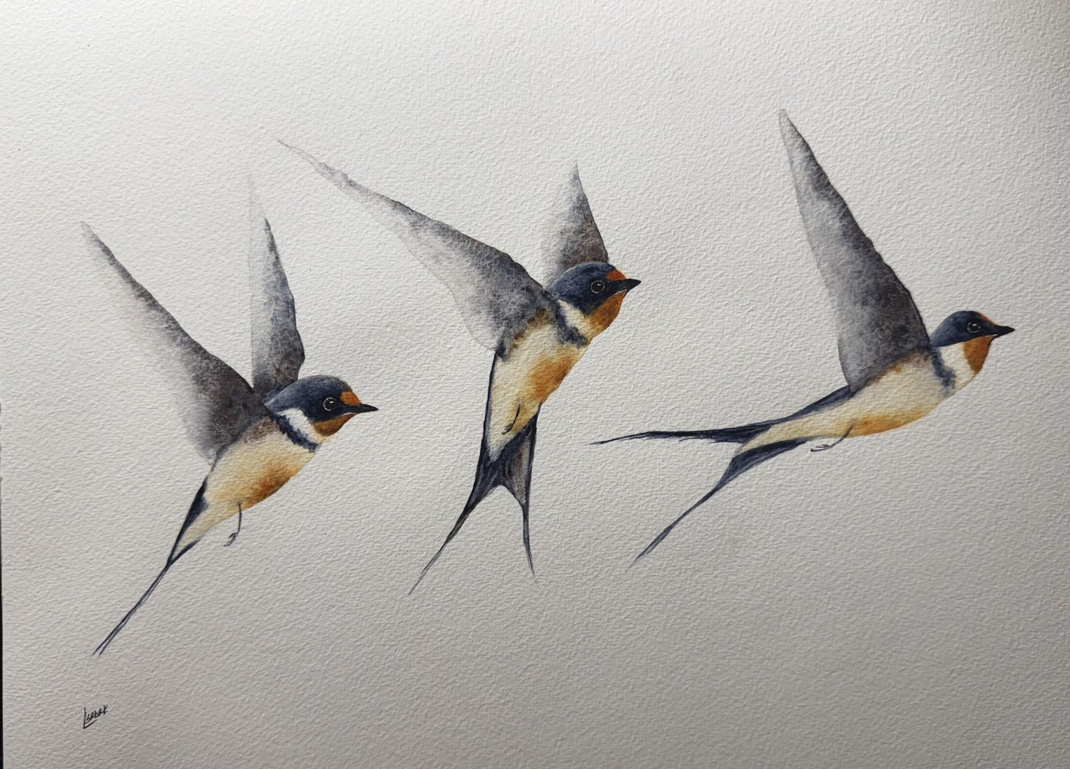 Swallow Your Doubts - image 1 - student project