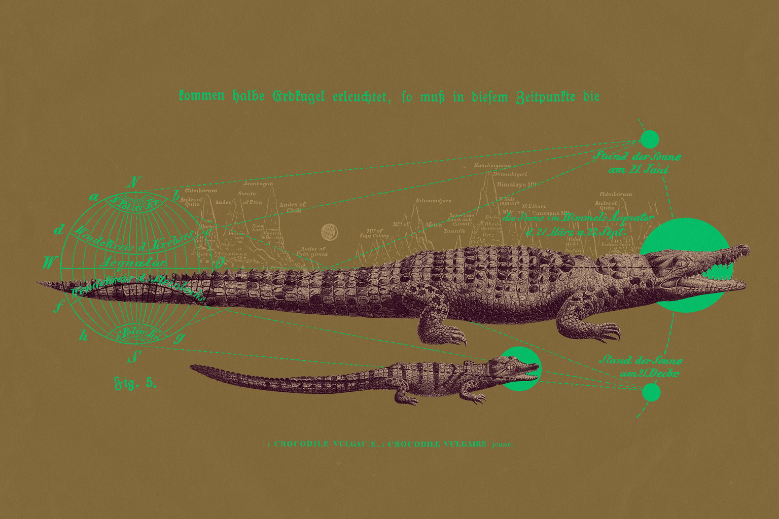 Celestial Crocodile - image 2 - student project