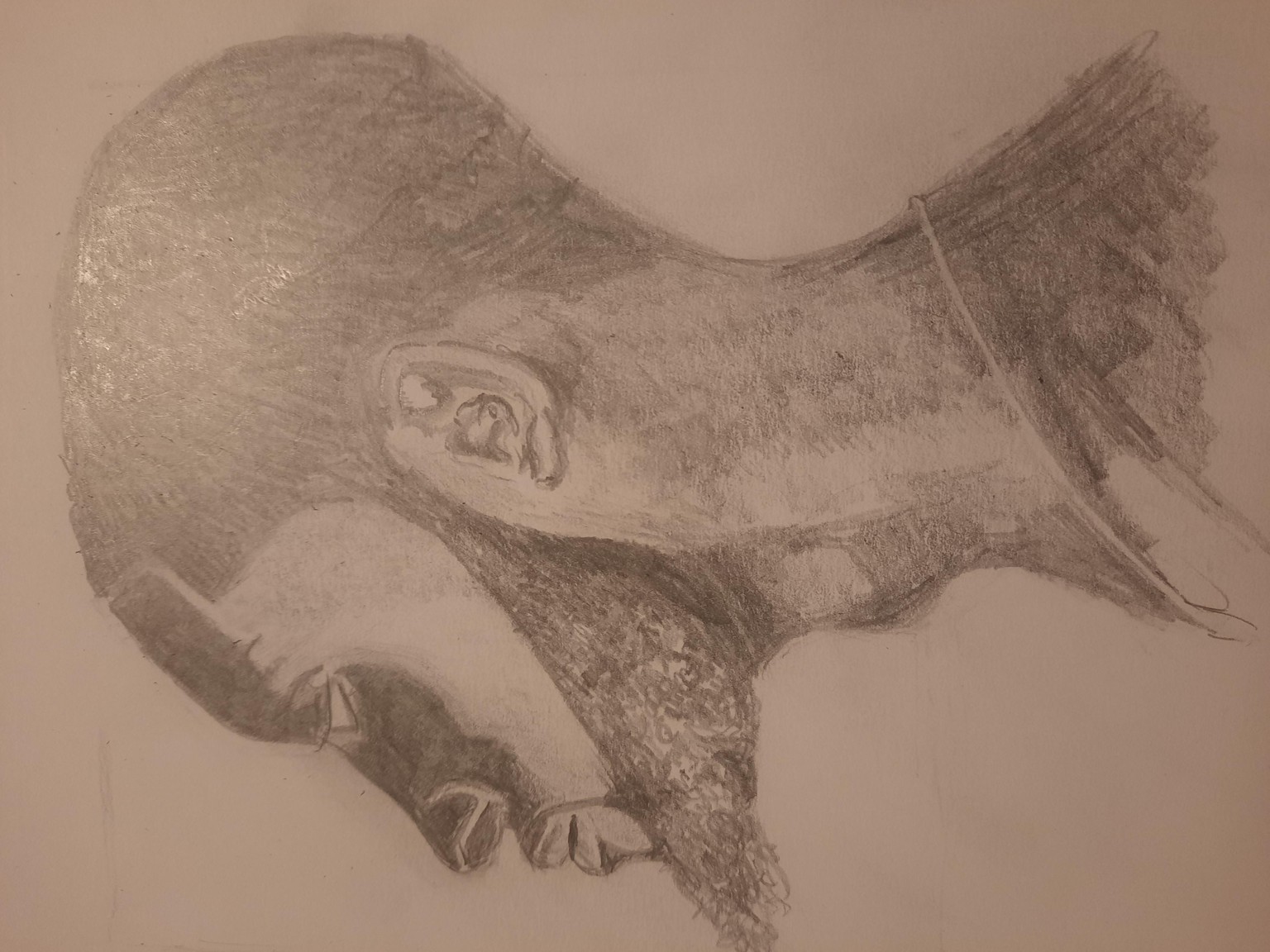 Faces - image 1 - student project