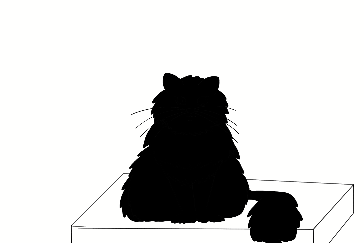 Sydney the Cat - image 1 - student project