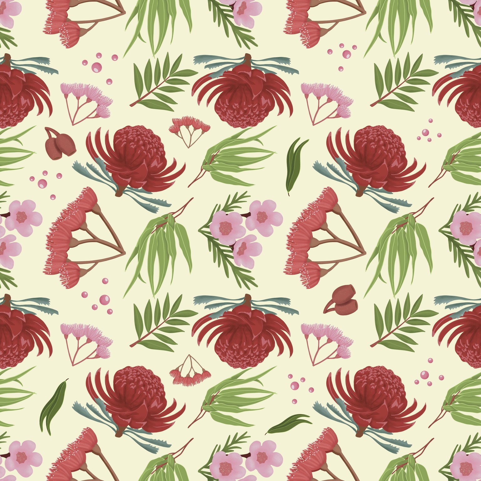 Australian Native Plants - image 1 - student project