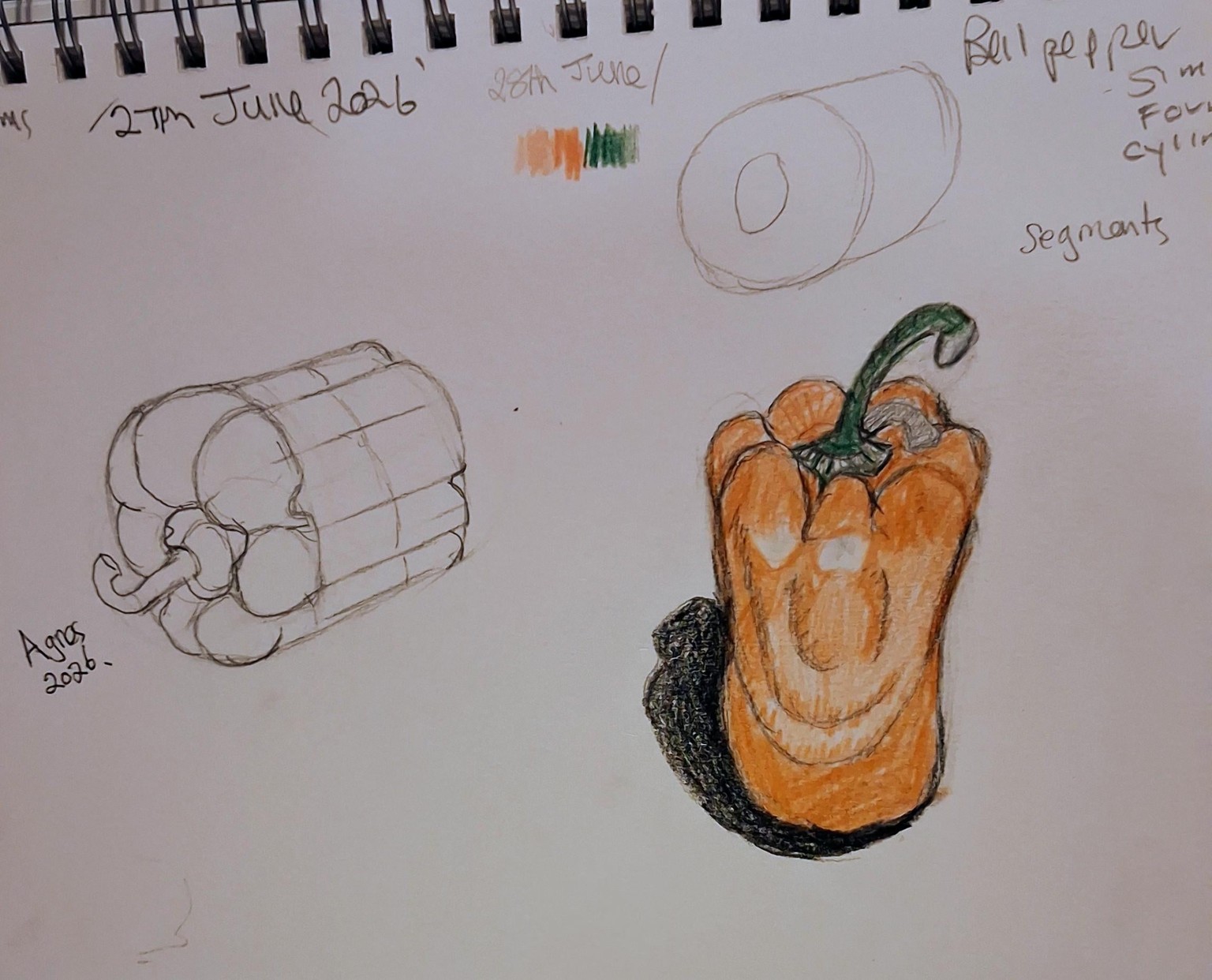 Project natural forms - image 4 - student project