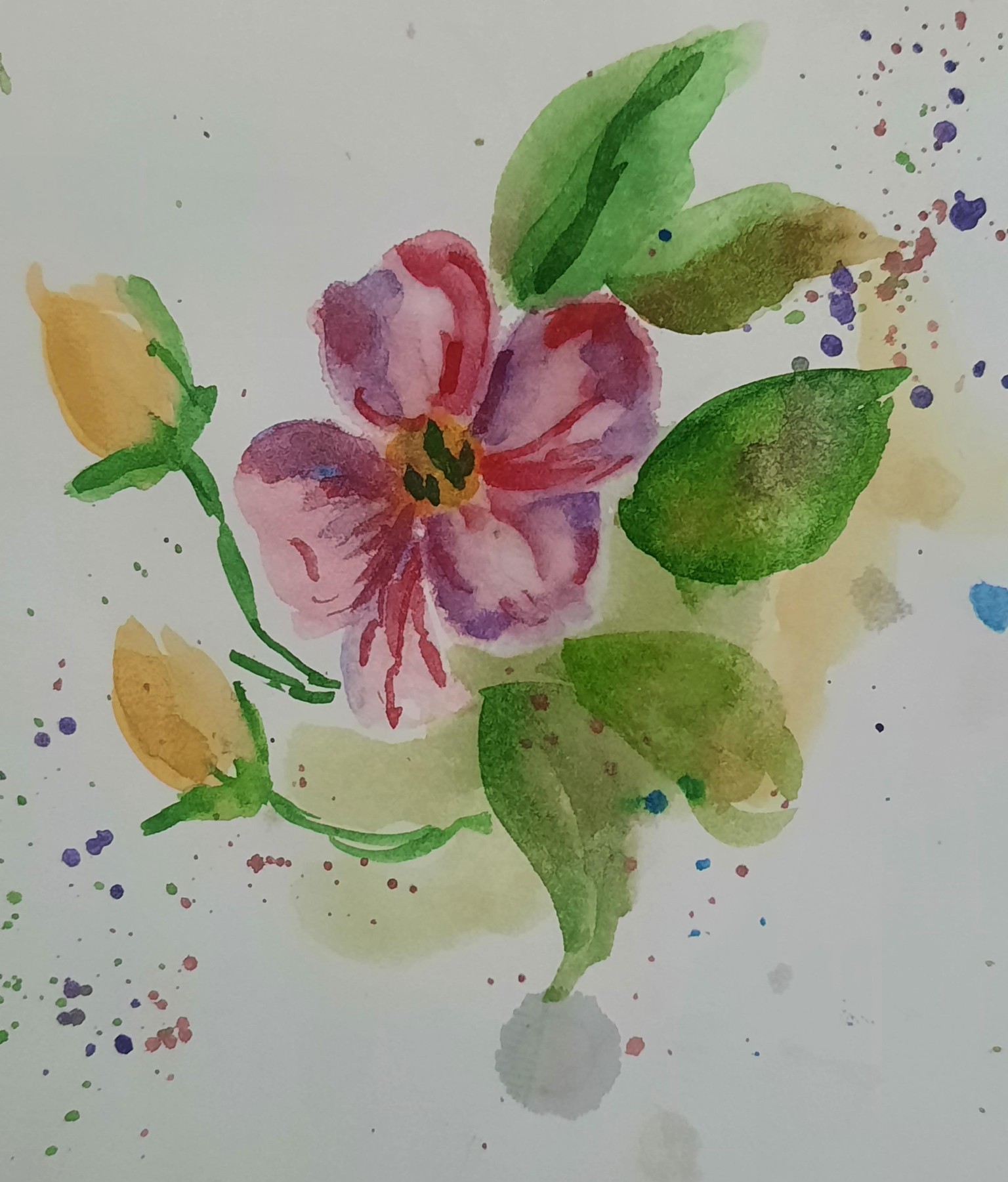 Wildflowers - image 2 - student project