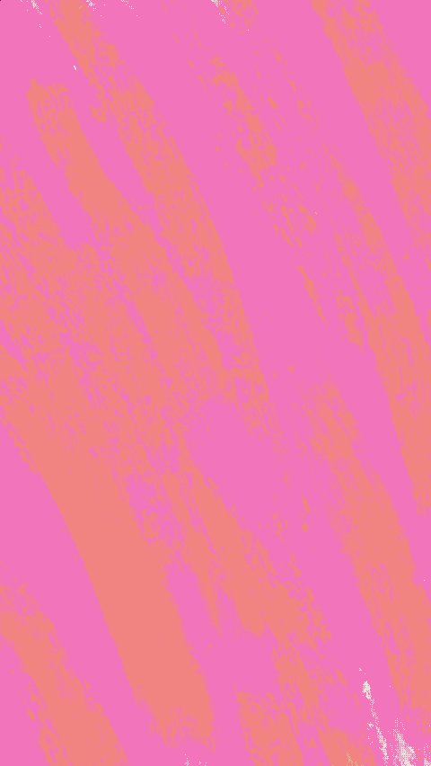 Fun animations - image 1 - student project