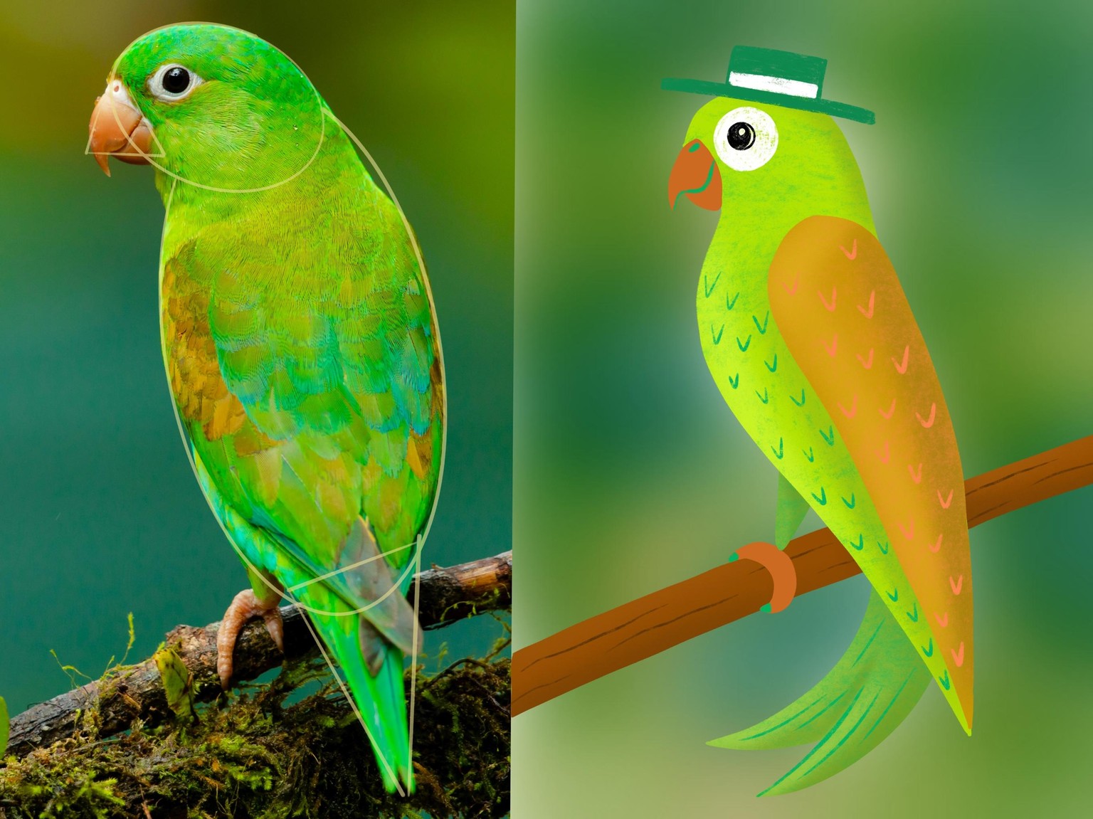 Illustrated Animals - image 1 - student project
