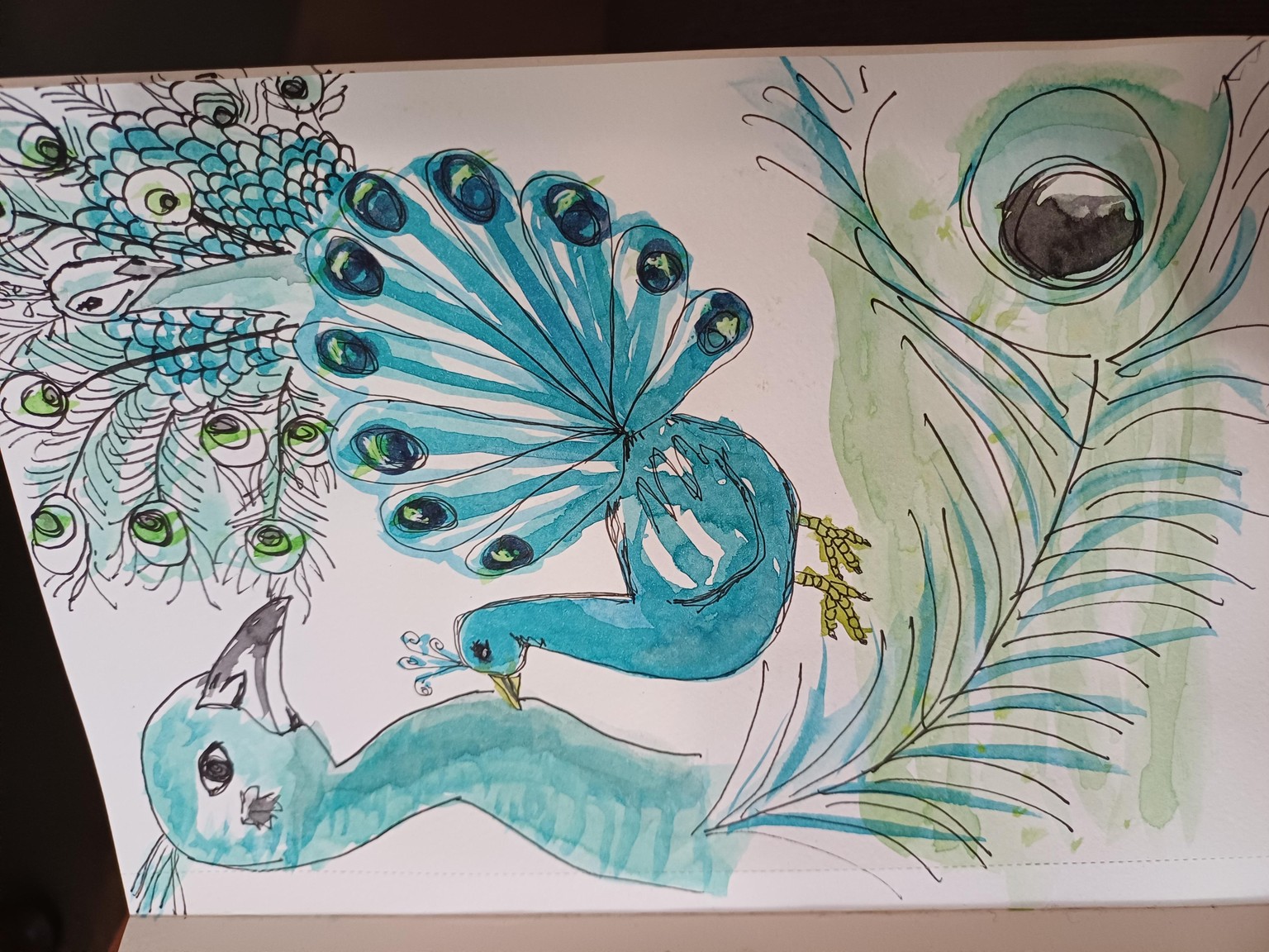 Not daily, but often! - image 3 - student project