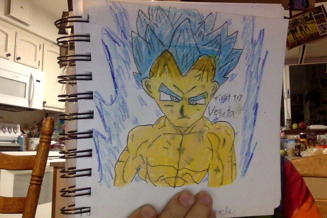 super sayian blue evolved vegata - image 1 - student project