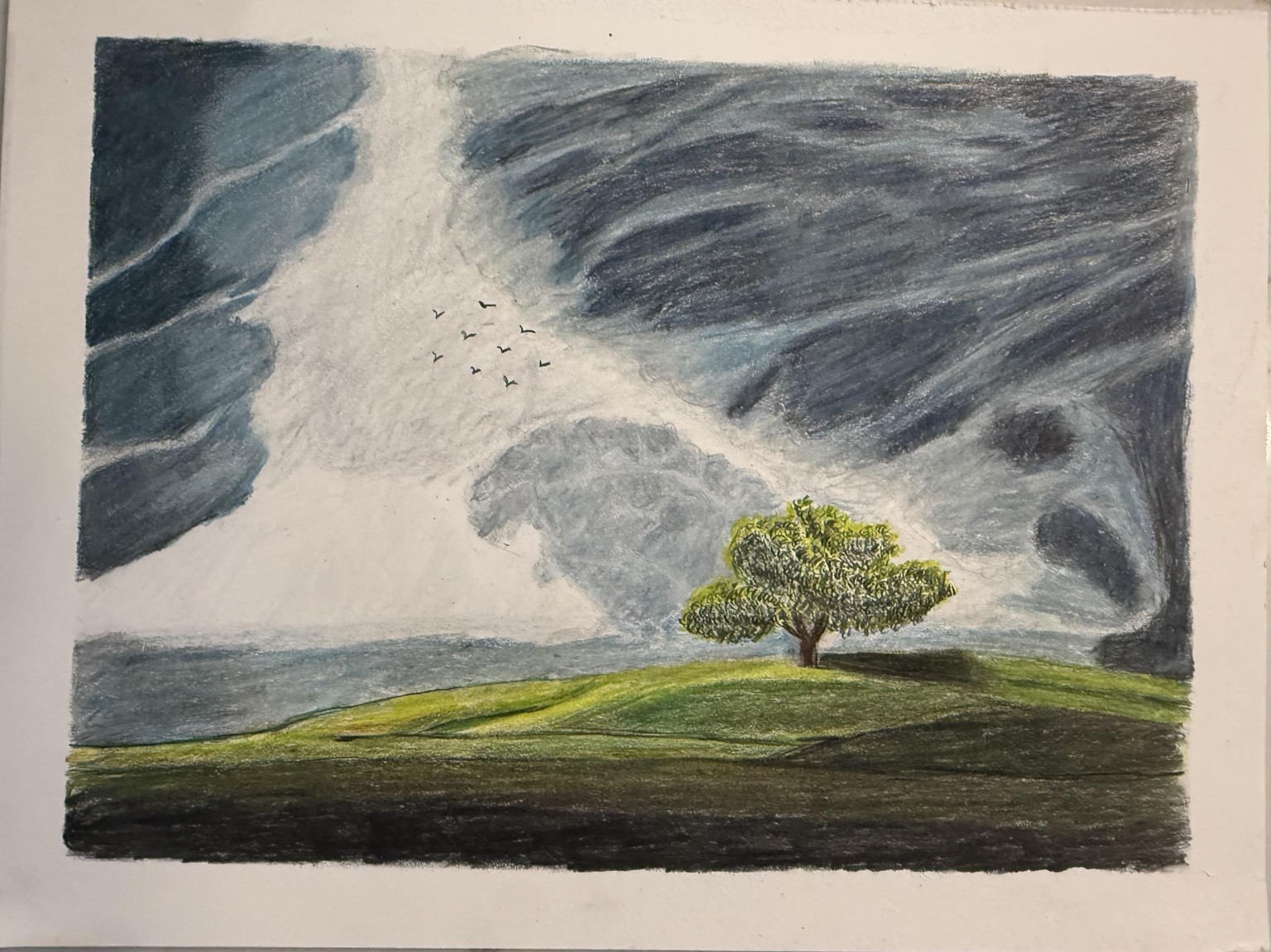 The lovely tree - image 1 - student project