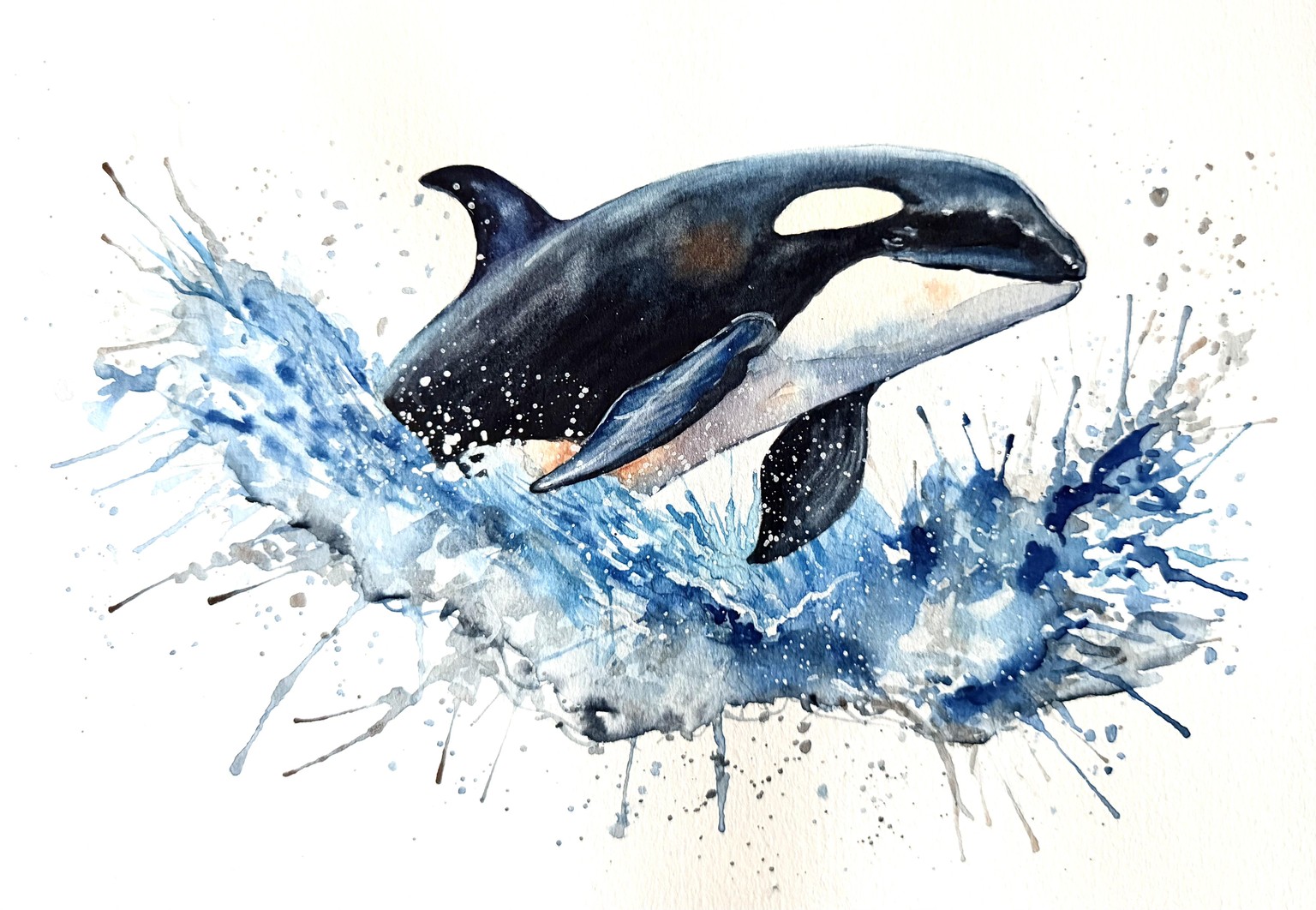 Playful Orca - image 1 - student project