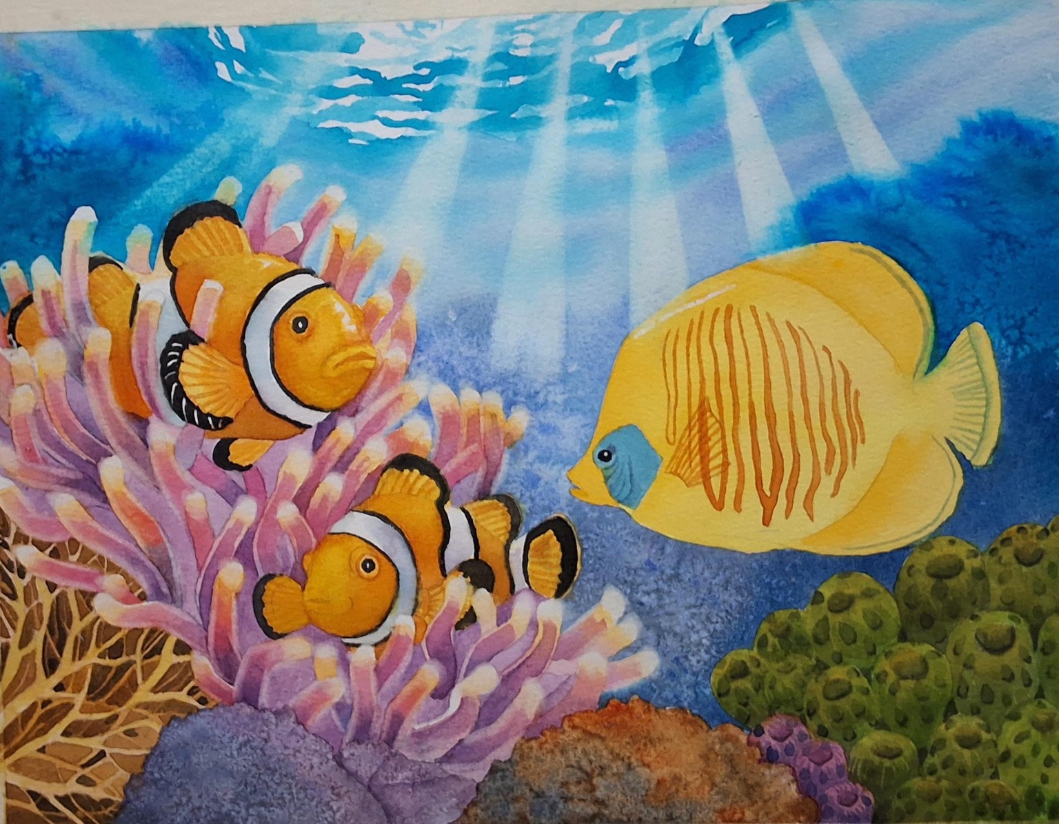 Coral reef - image 2 - student project