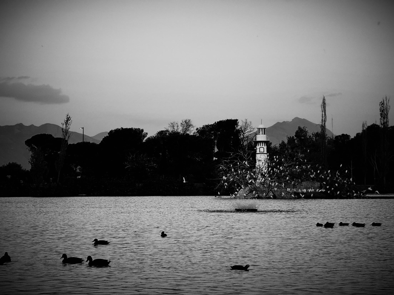 Ciudad Deportiva - image 7 - student project