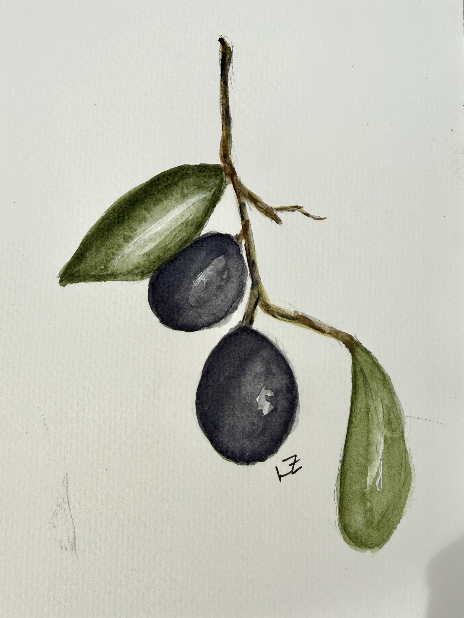 Olives - image 2 - student project