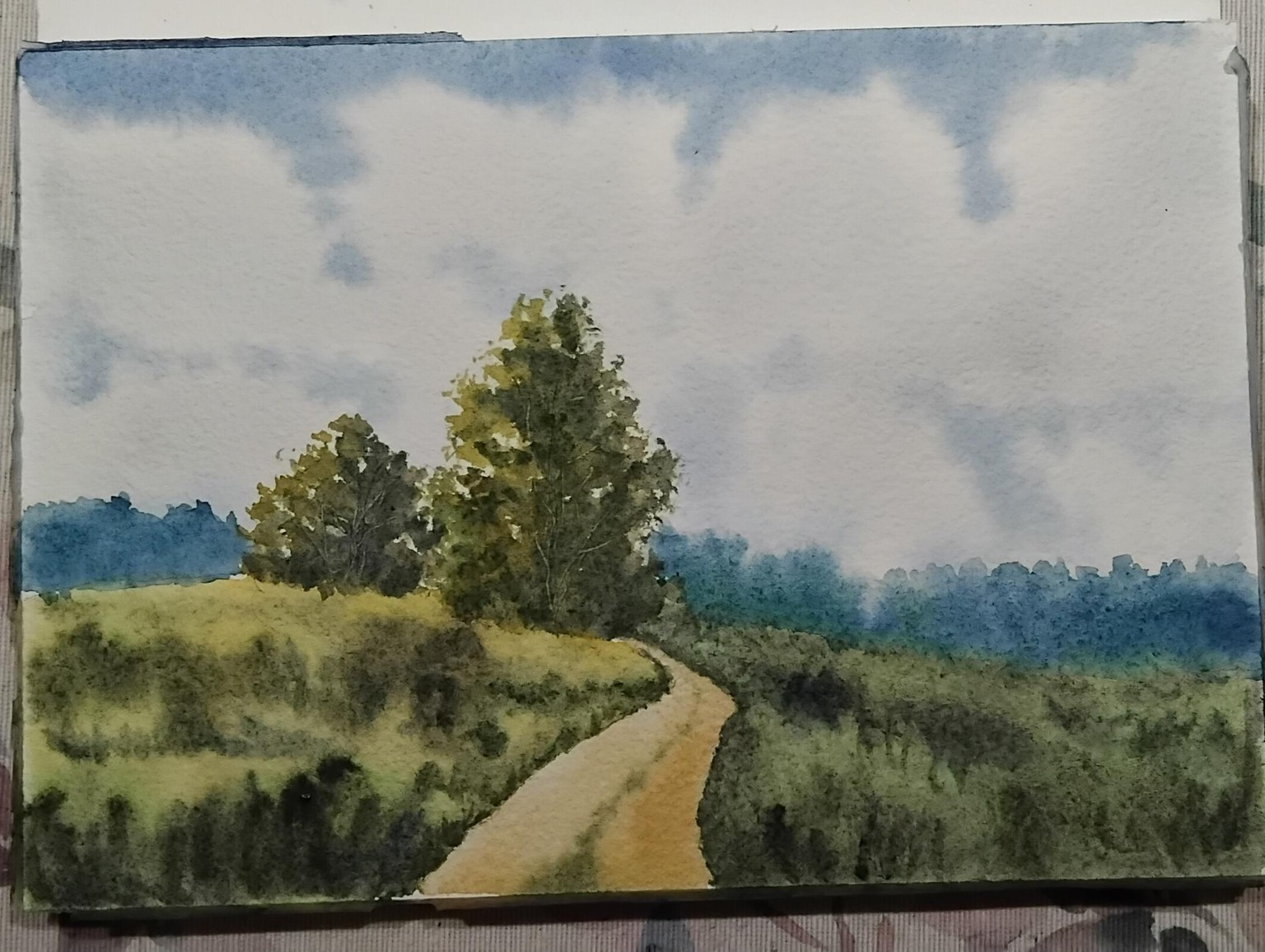 Landscapes - image 3 - student project