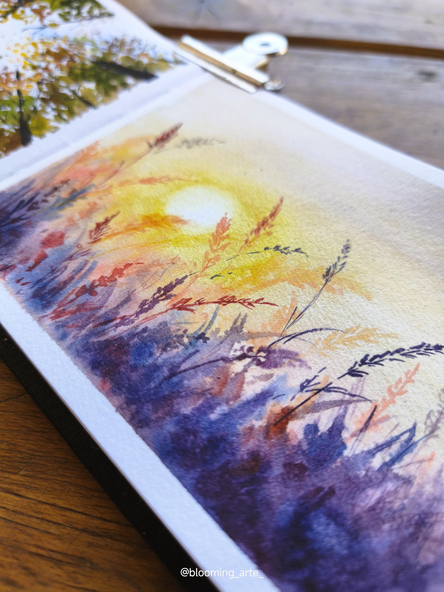 Puesta de sol en el campo - image 4 - student project