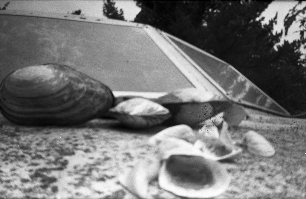 exploring with my selfmade 6x9 pinhole - image 4 - student project