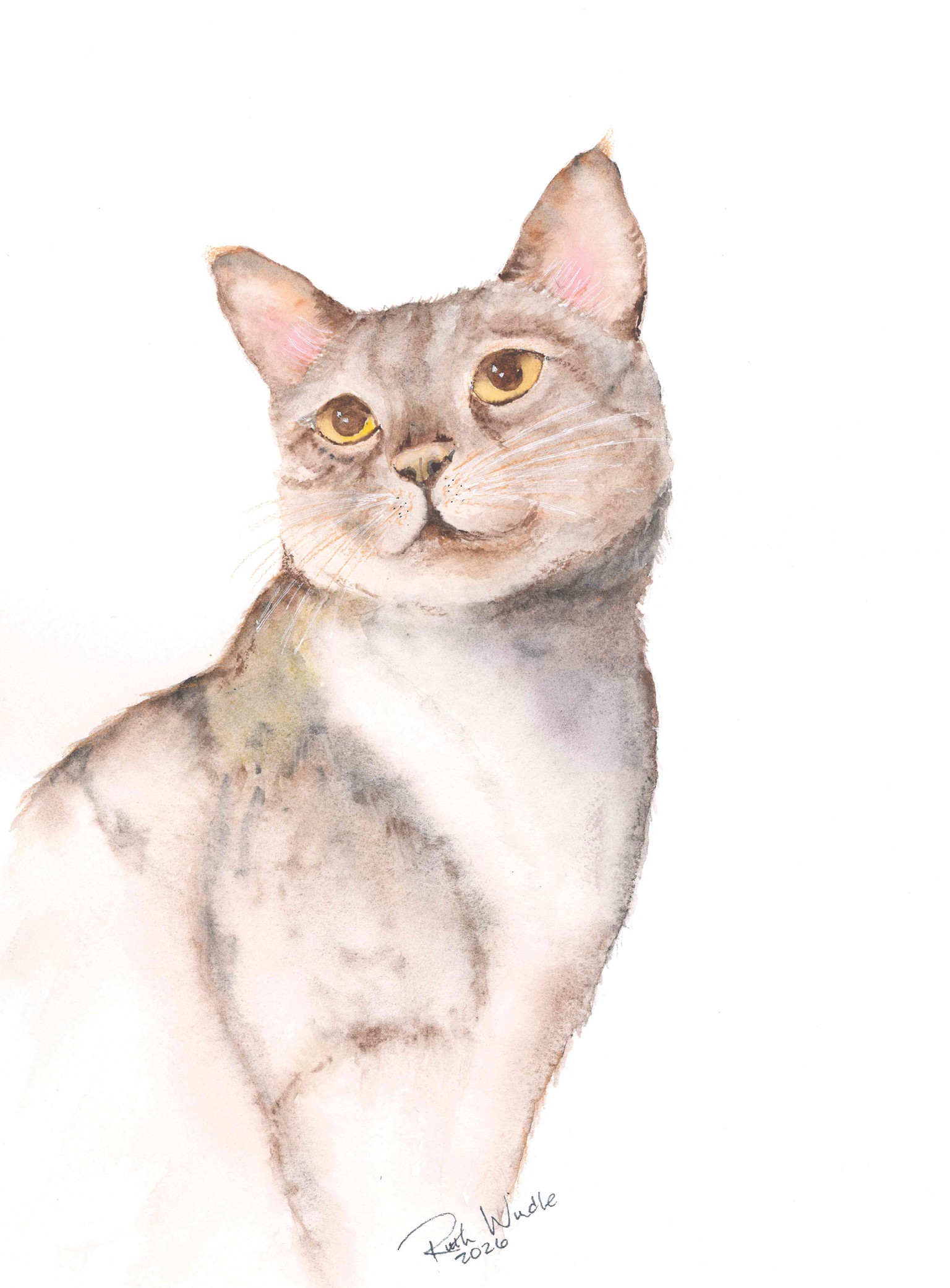 Kitty cat - image 1 - student project