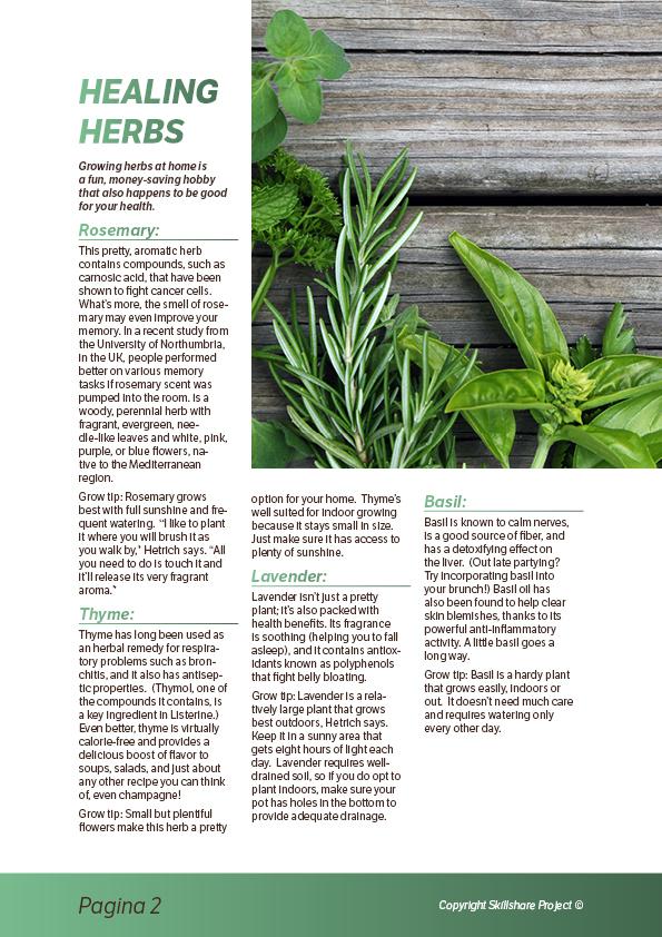 ADOBE_INDESIGN_ESSENTIALS_TRAINING_DANIEL_SCOTT - image 3 - student project