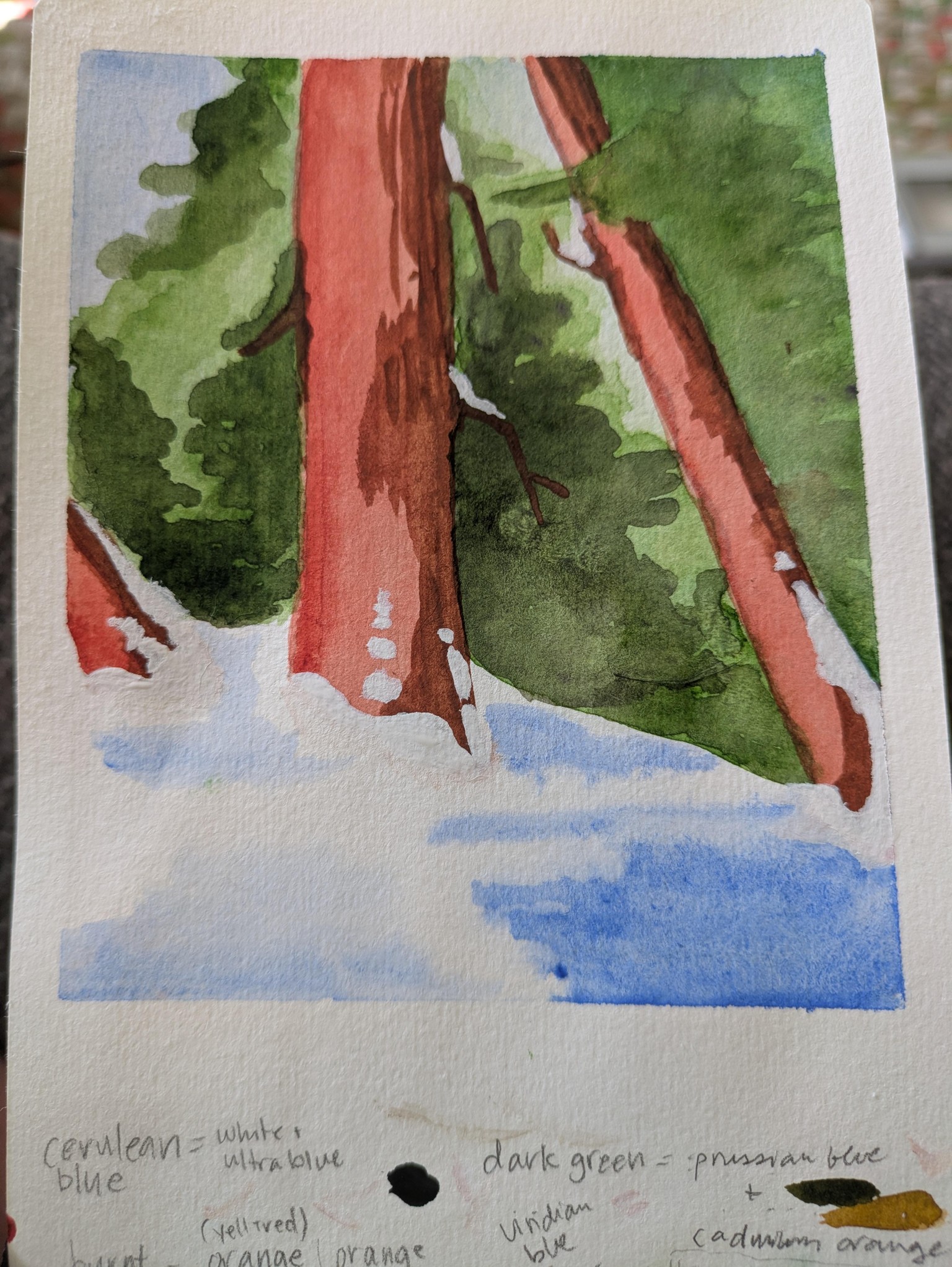 Walk in the woods - image 1 - student project
