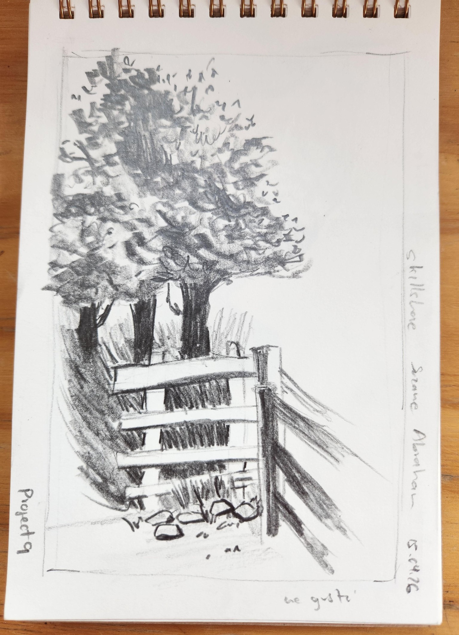 Grab a pencil and surprise yourself - image 8 - student project