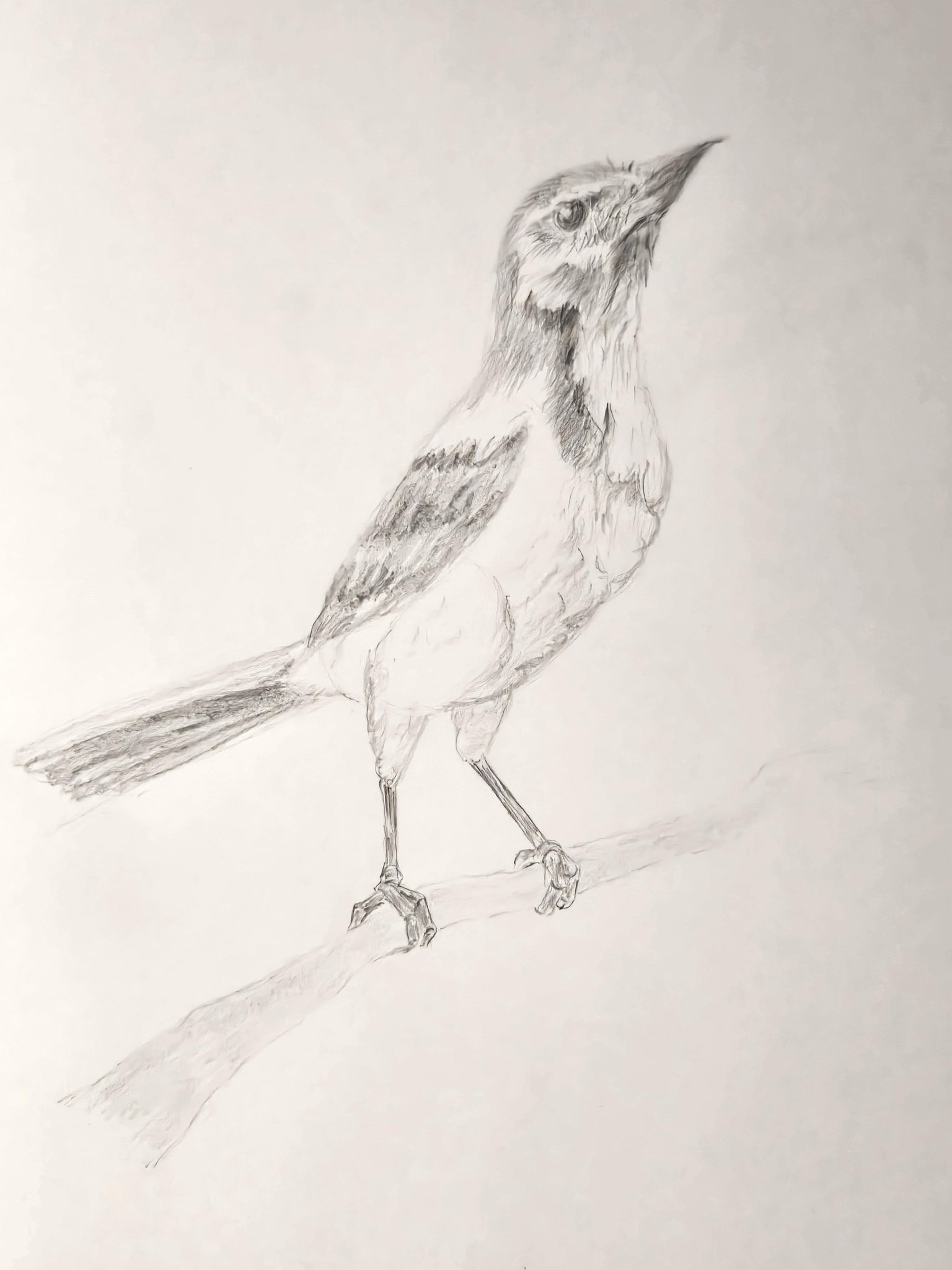 初めてのプロジェクト！ - image 2 - student project