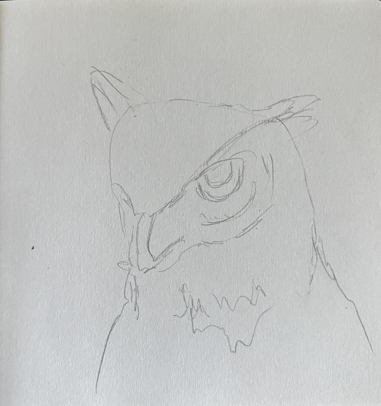 Whoo else loves owls - image 3 - student project