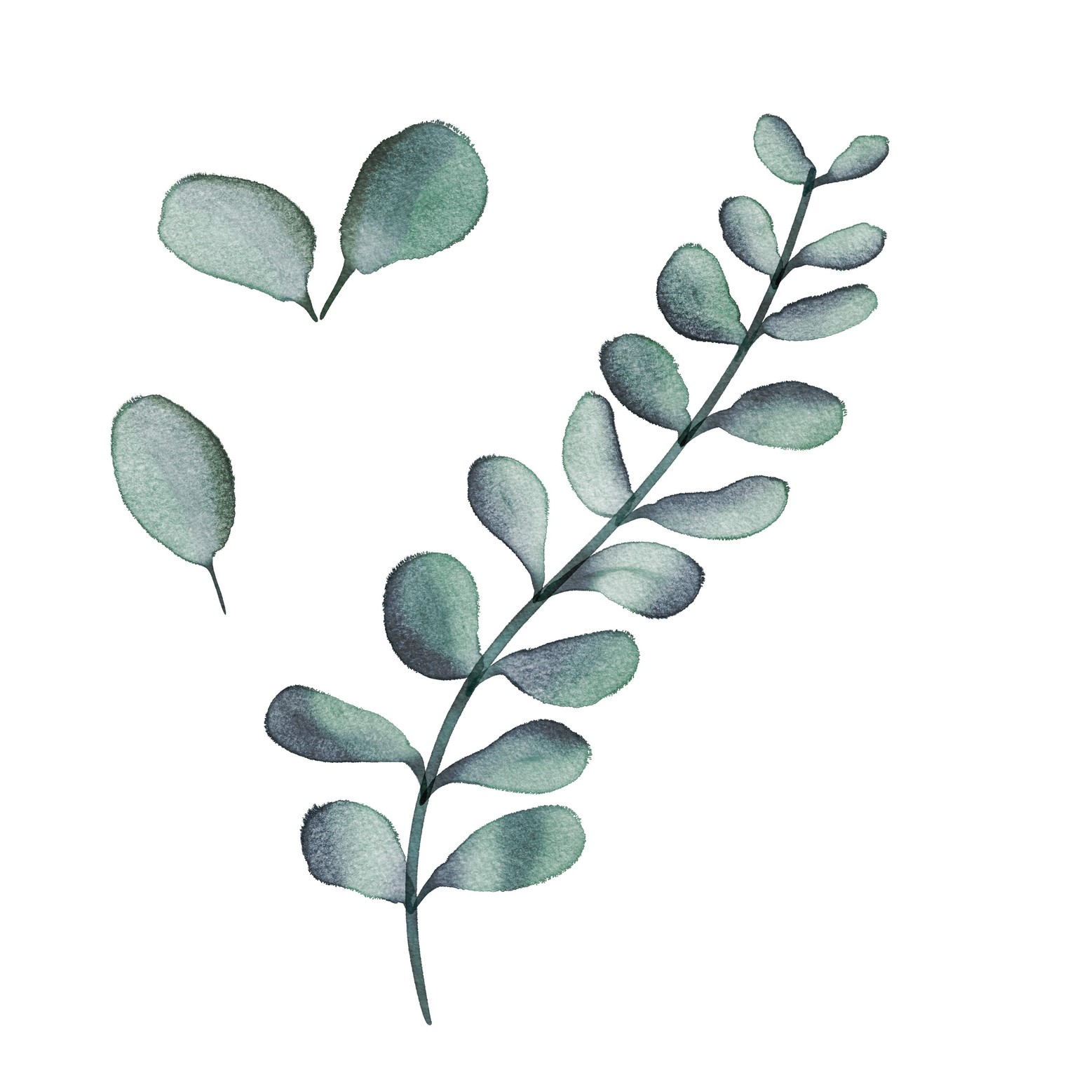 Watercolour foliage - image 2 - student project