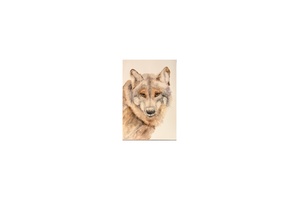 Wolf! - image 1 - student project