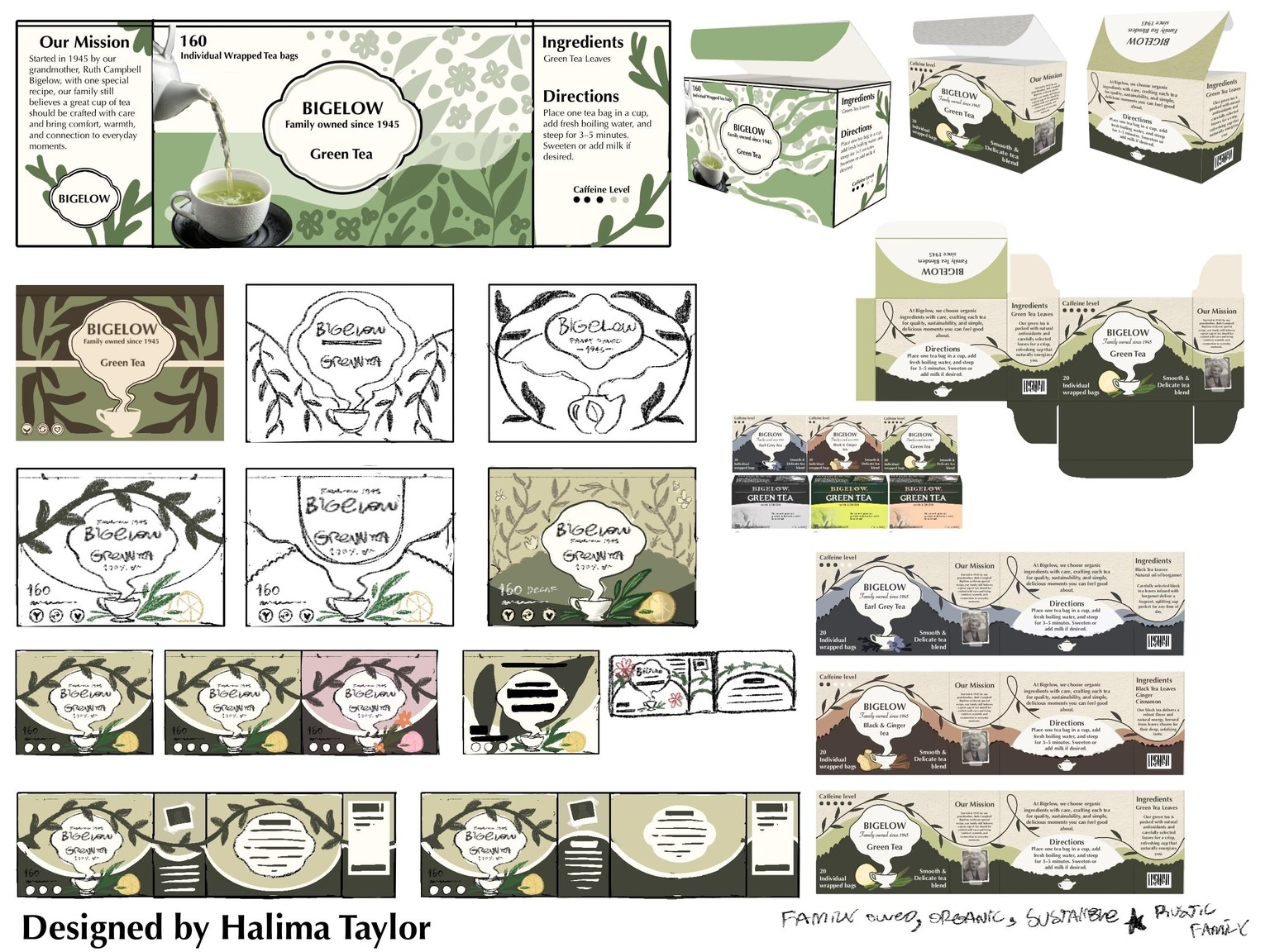 BIGELOW Tea redesign Sketches - image 1 - student project