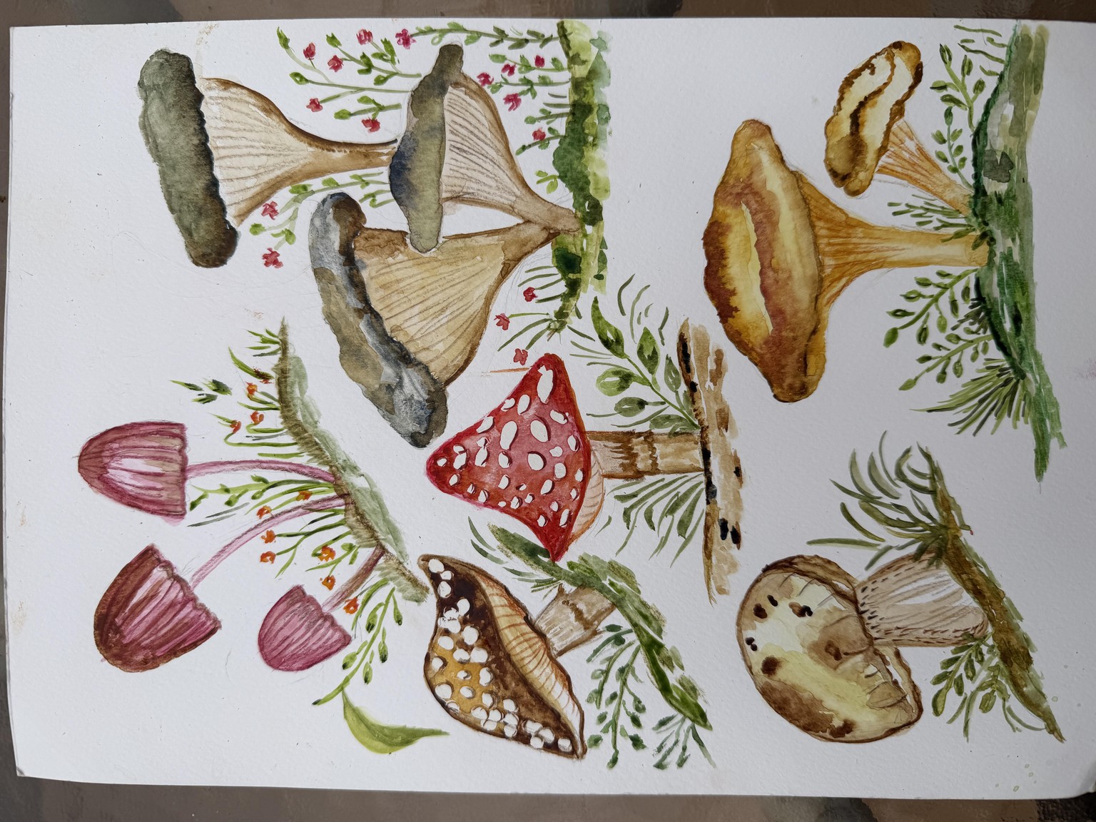 The first two Mushrooms - image 1 - student project