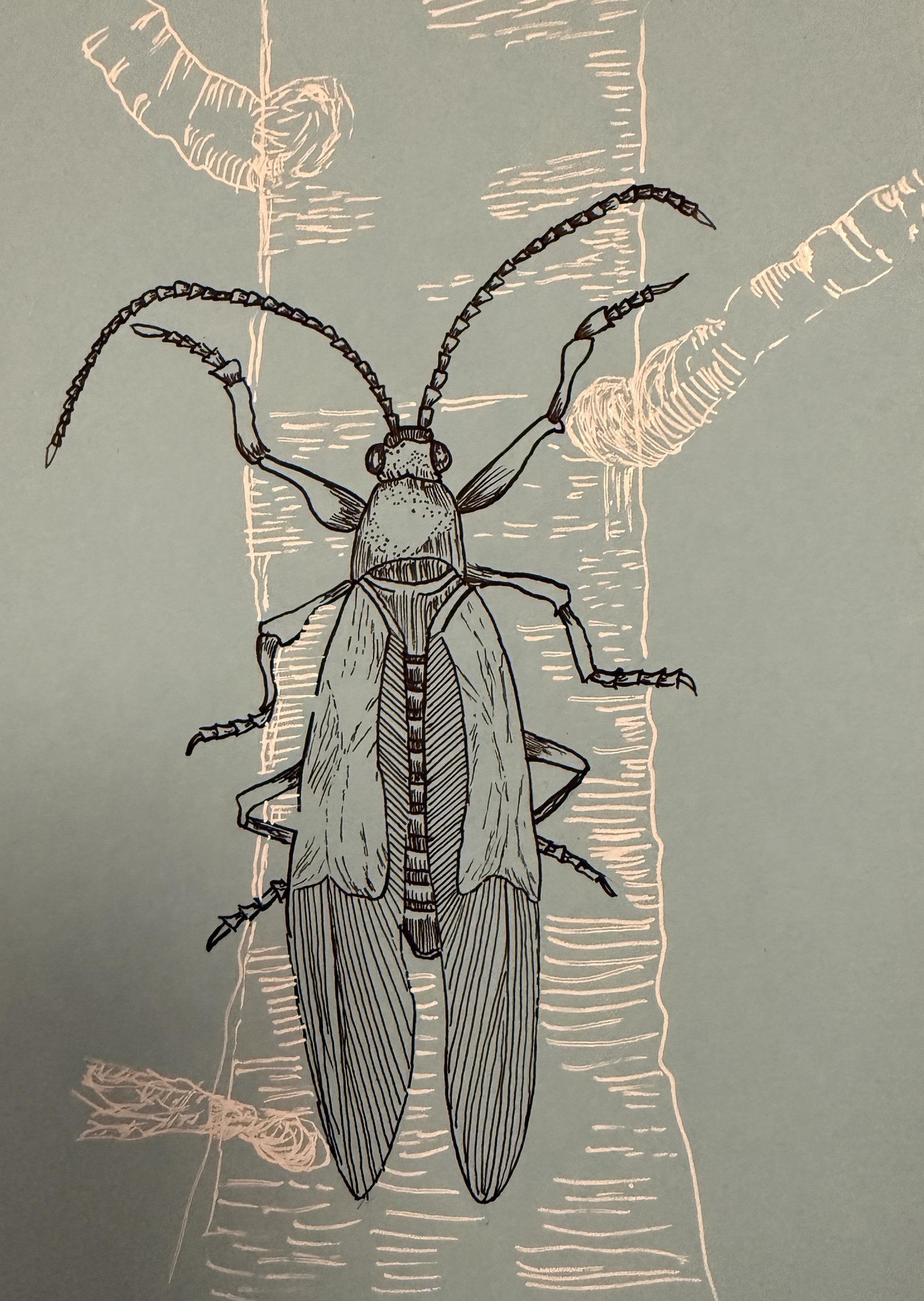 Azure Forest Climber - image 1 - student project