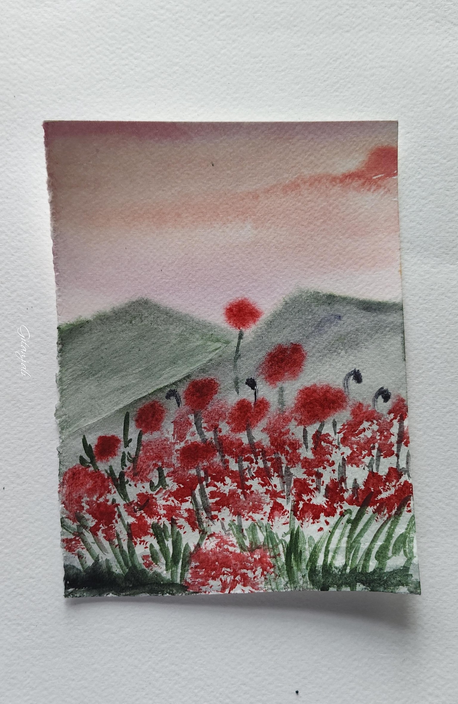 Nature - image 8 - student project
