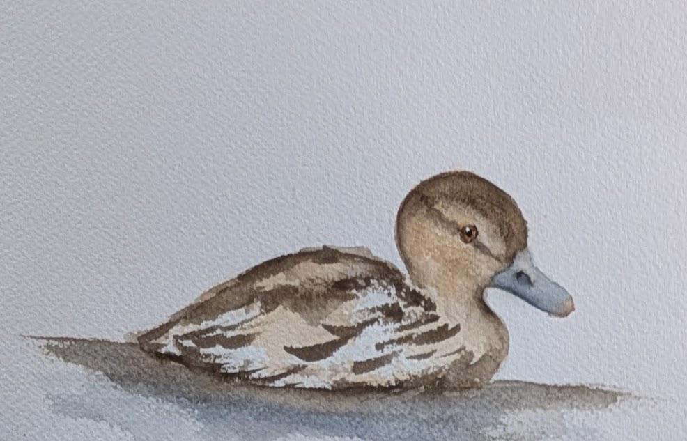 Just Ducky - image 2 - student project
