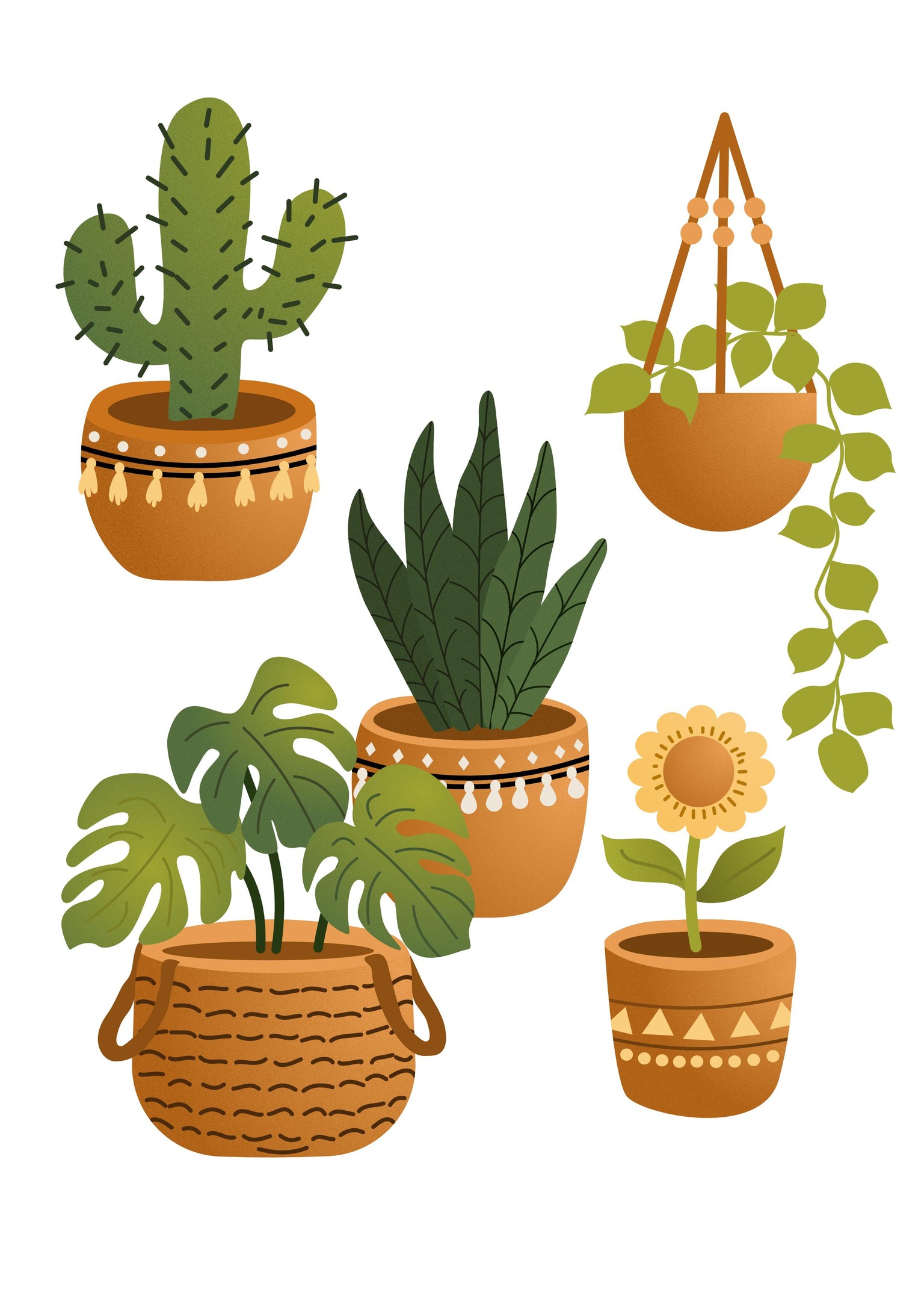 Pot Plants - image 1 - student project