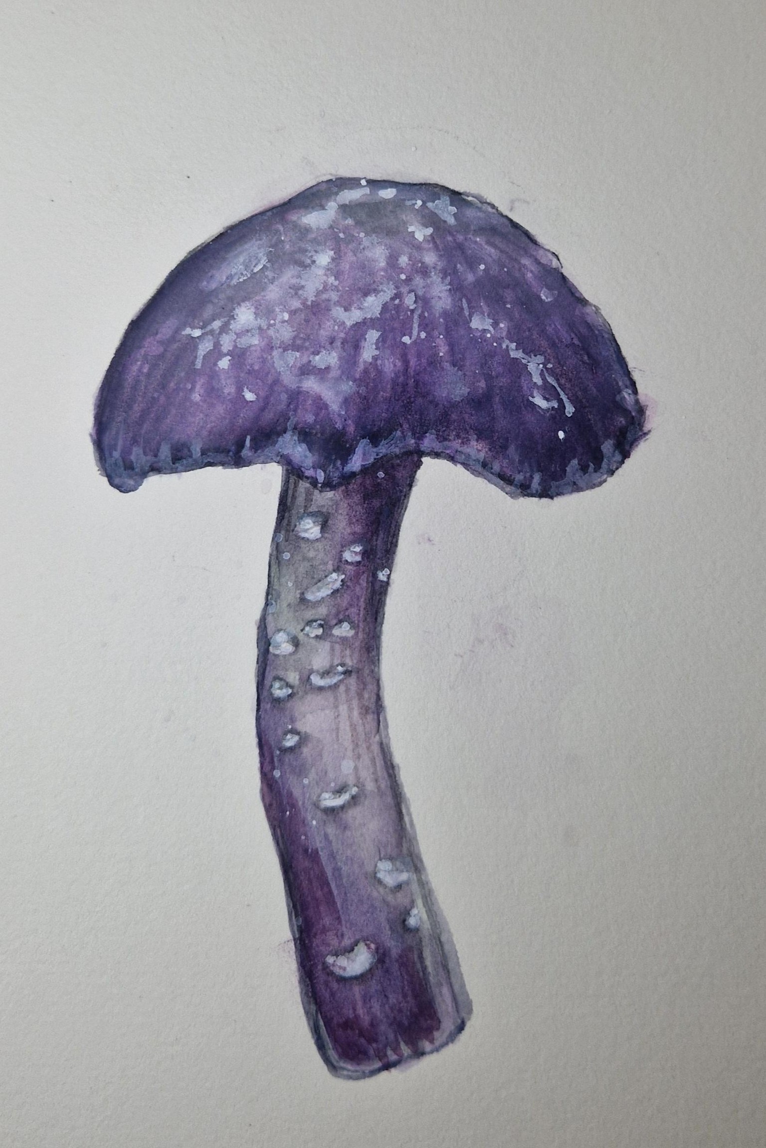 Champignon violet - image 1 - student project