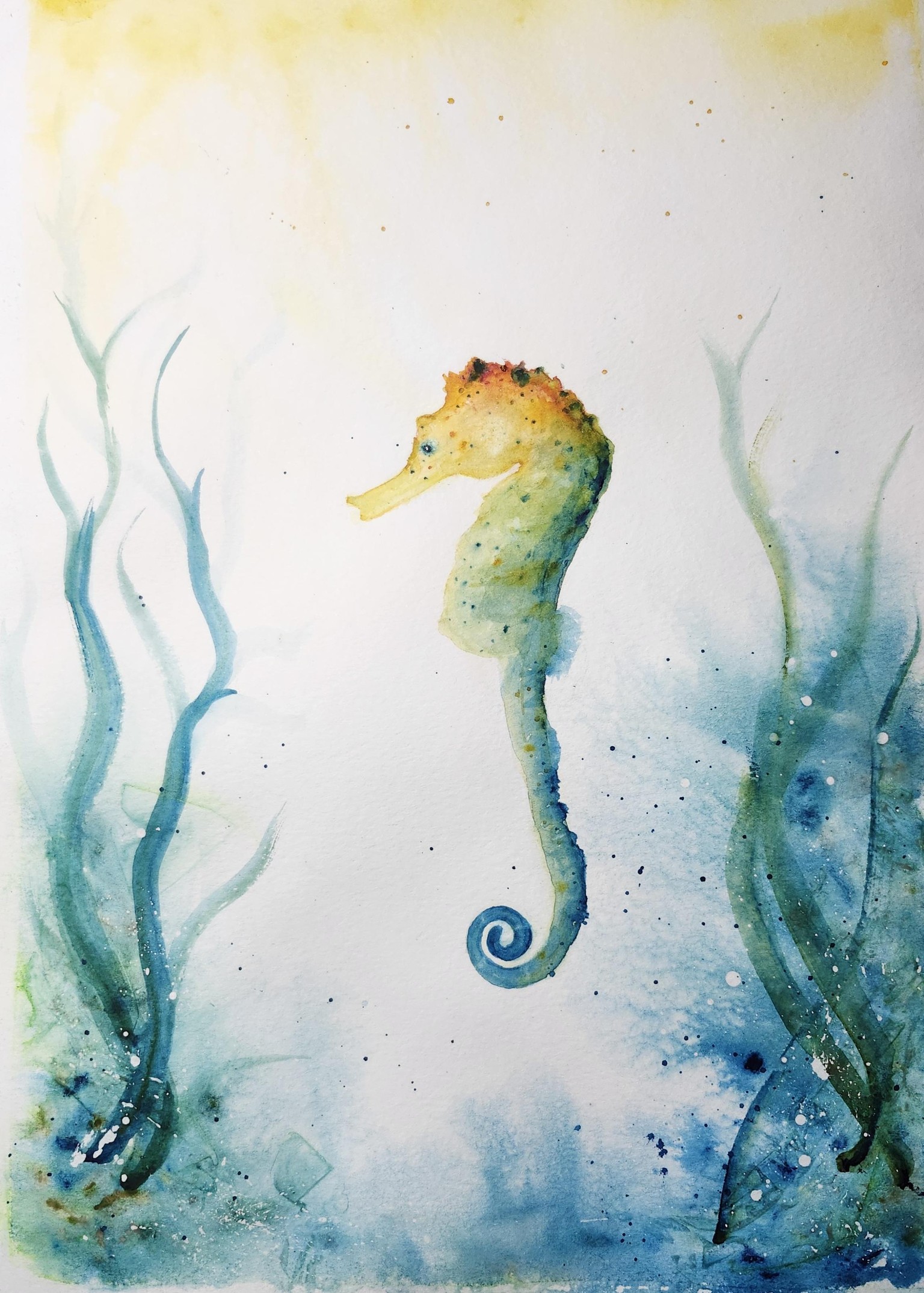 Seahorse Experience #2 - image 1 - student project