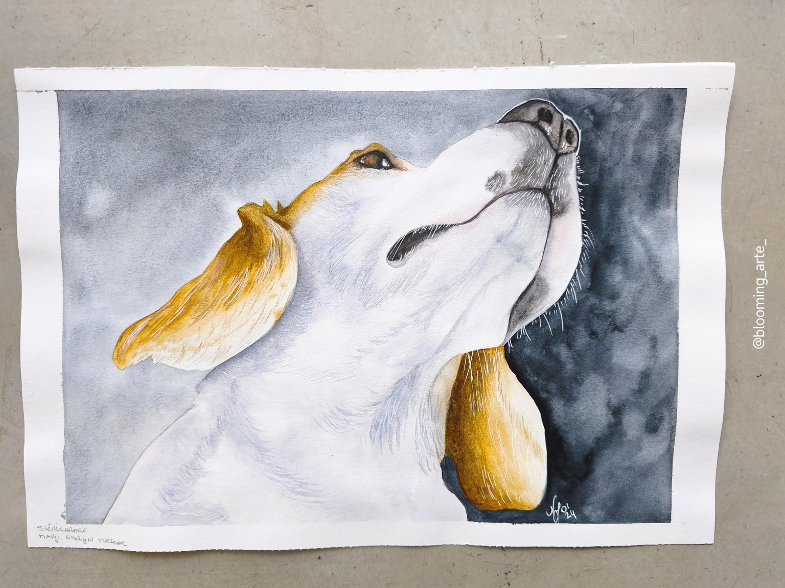 Lemon Beagle - image 1 - student project