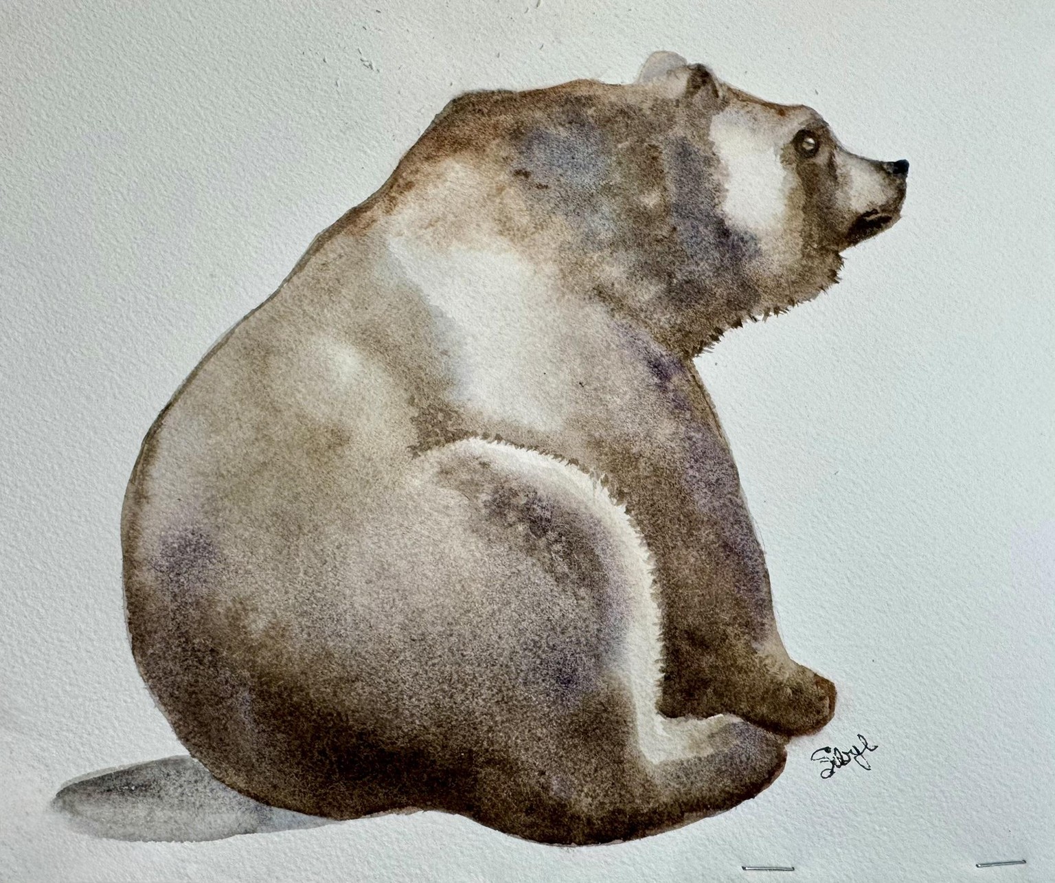 Bear - image 1 - student project